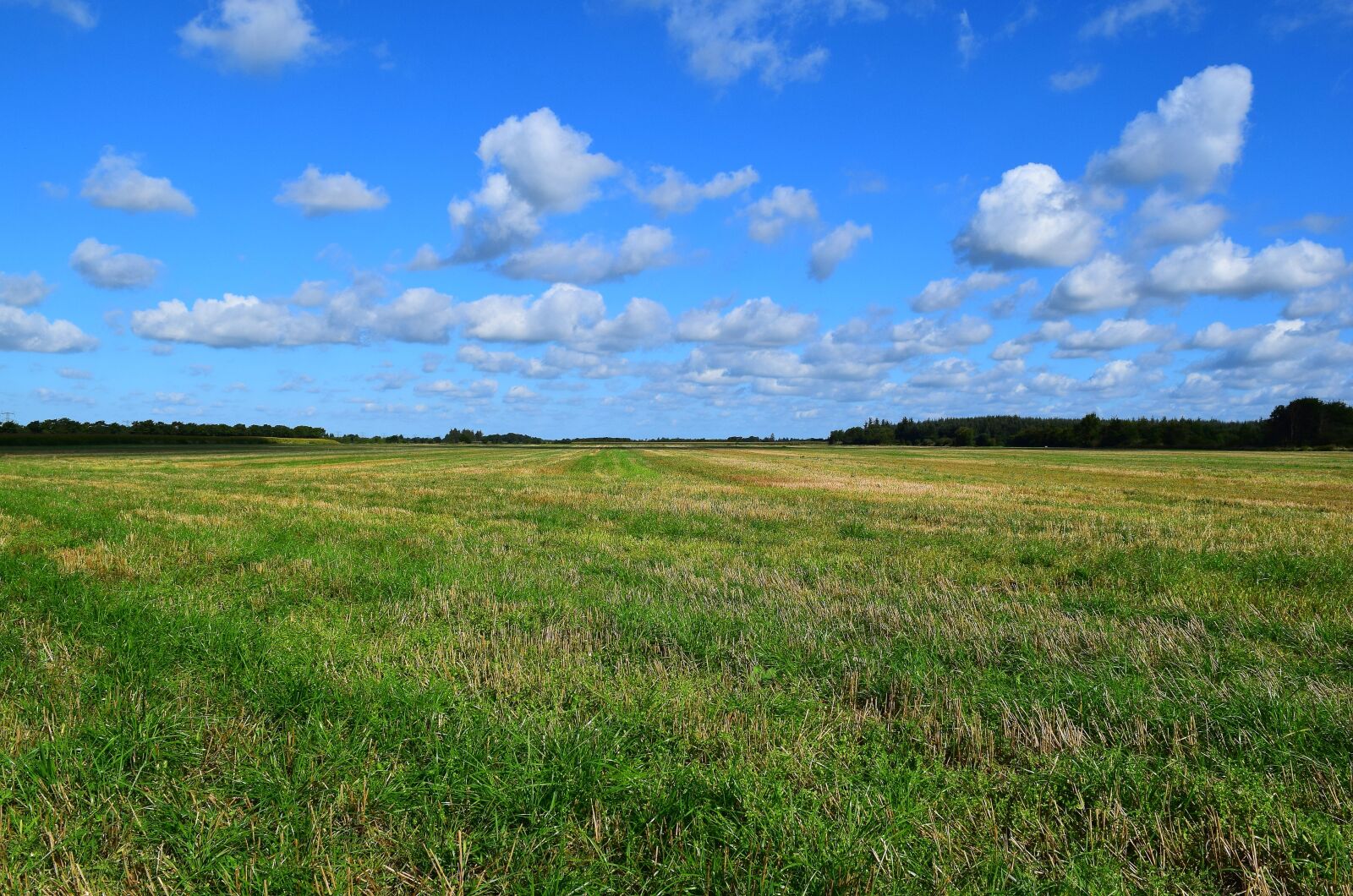 Nikon D5300 sample photo. Landscape, clouds, nature photography