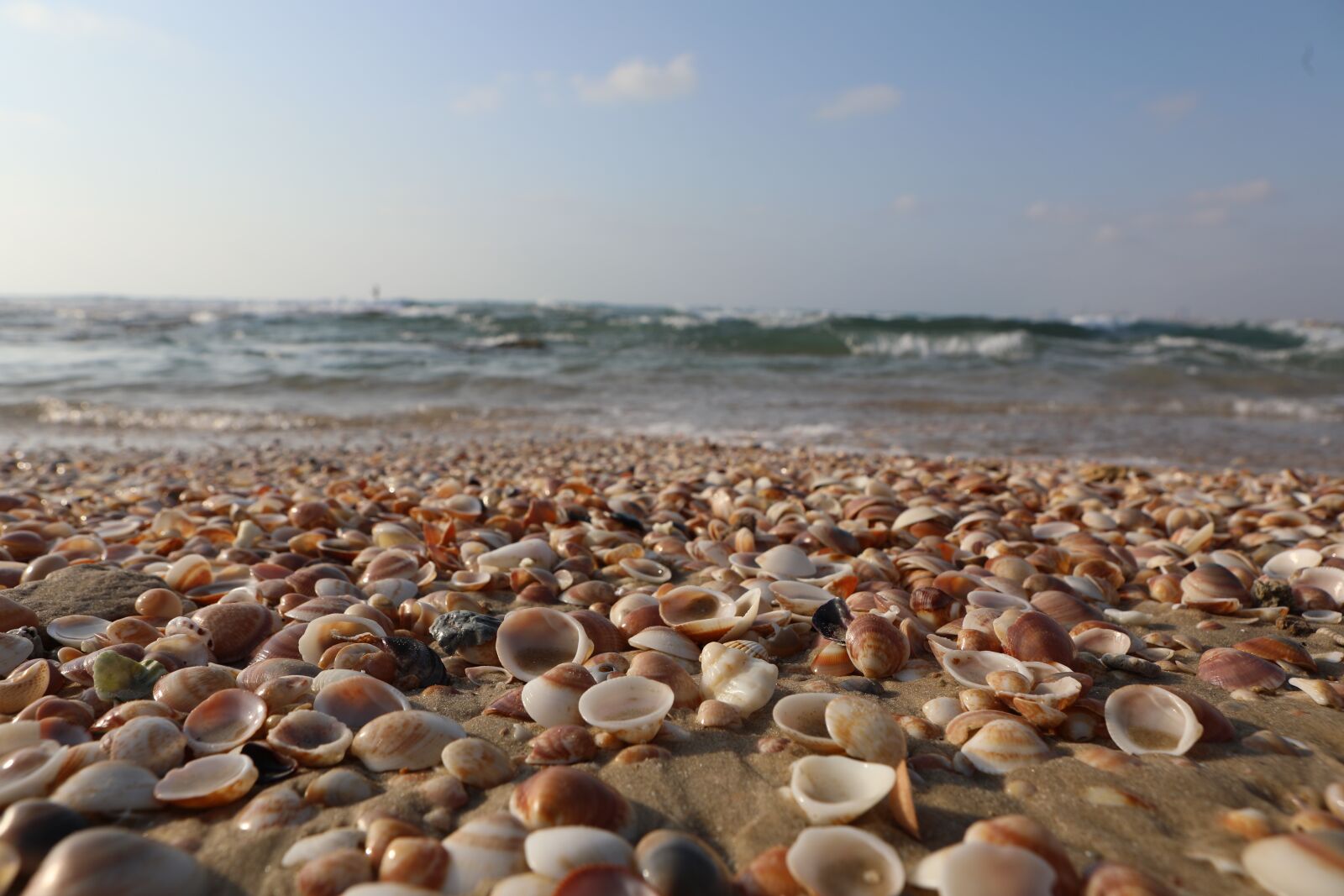 Canon EOS 5D Mark IV sample photo. Sea, beach, ocean photography