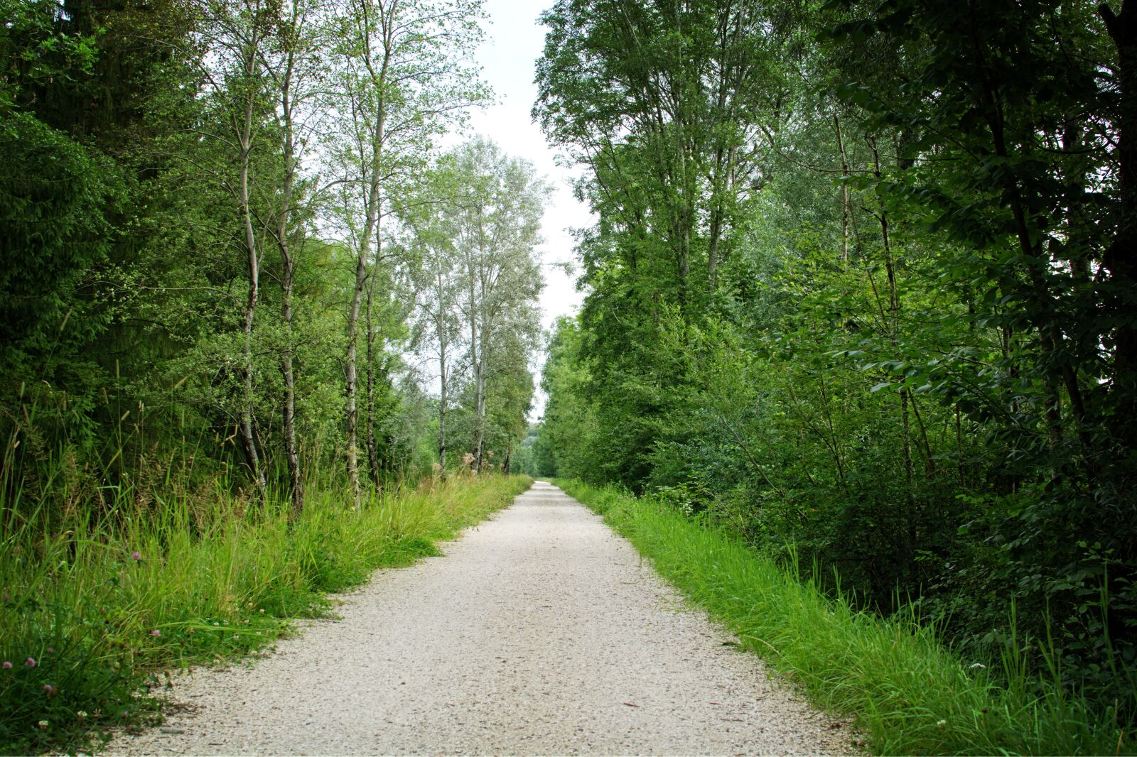 Nikon D7100 sample photo. Away, lane, landscape way photography