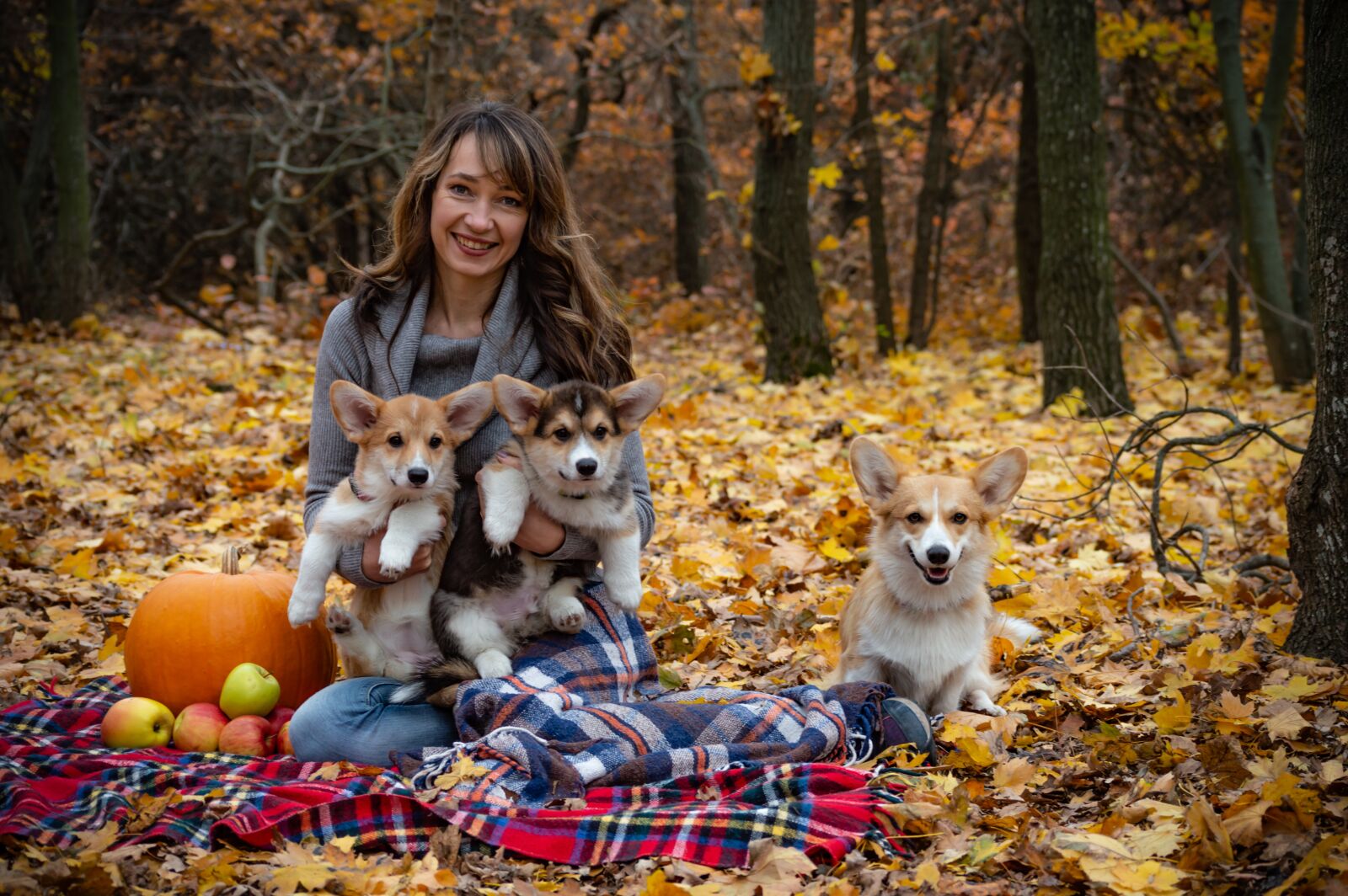 Nikon D3200 sample photo. Welsh corgi pembroke, corgi photography