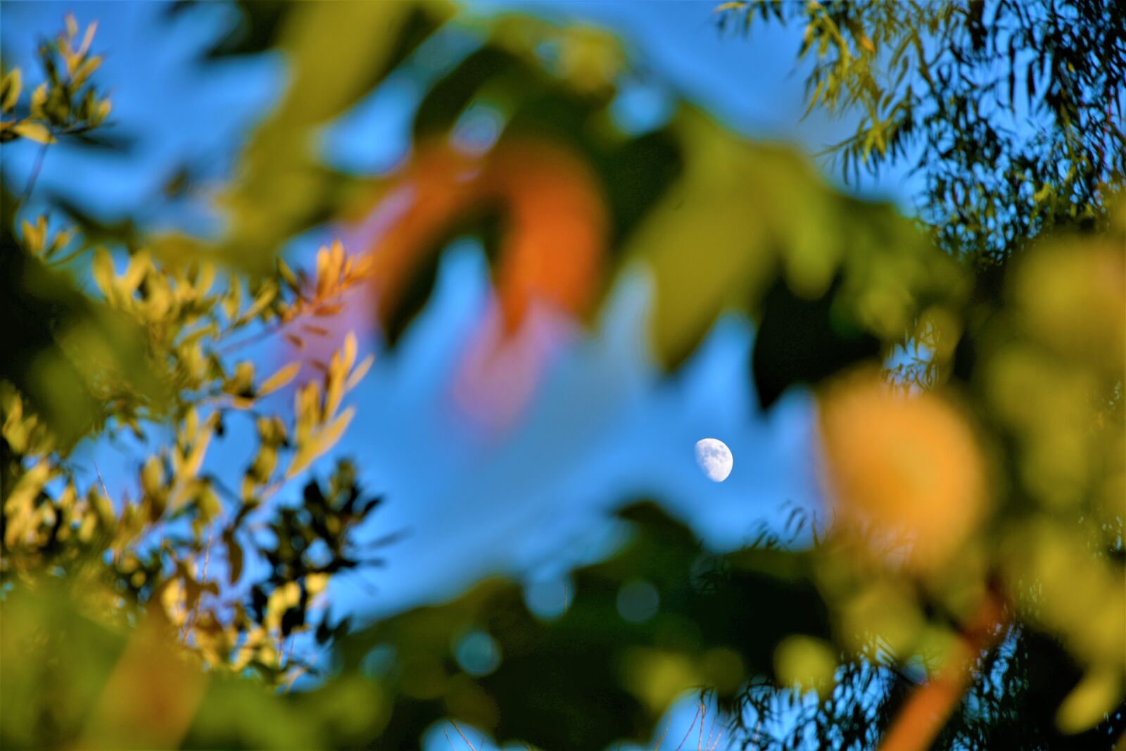Nikon D7100 sample photo. Day moon, blue sky photography