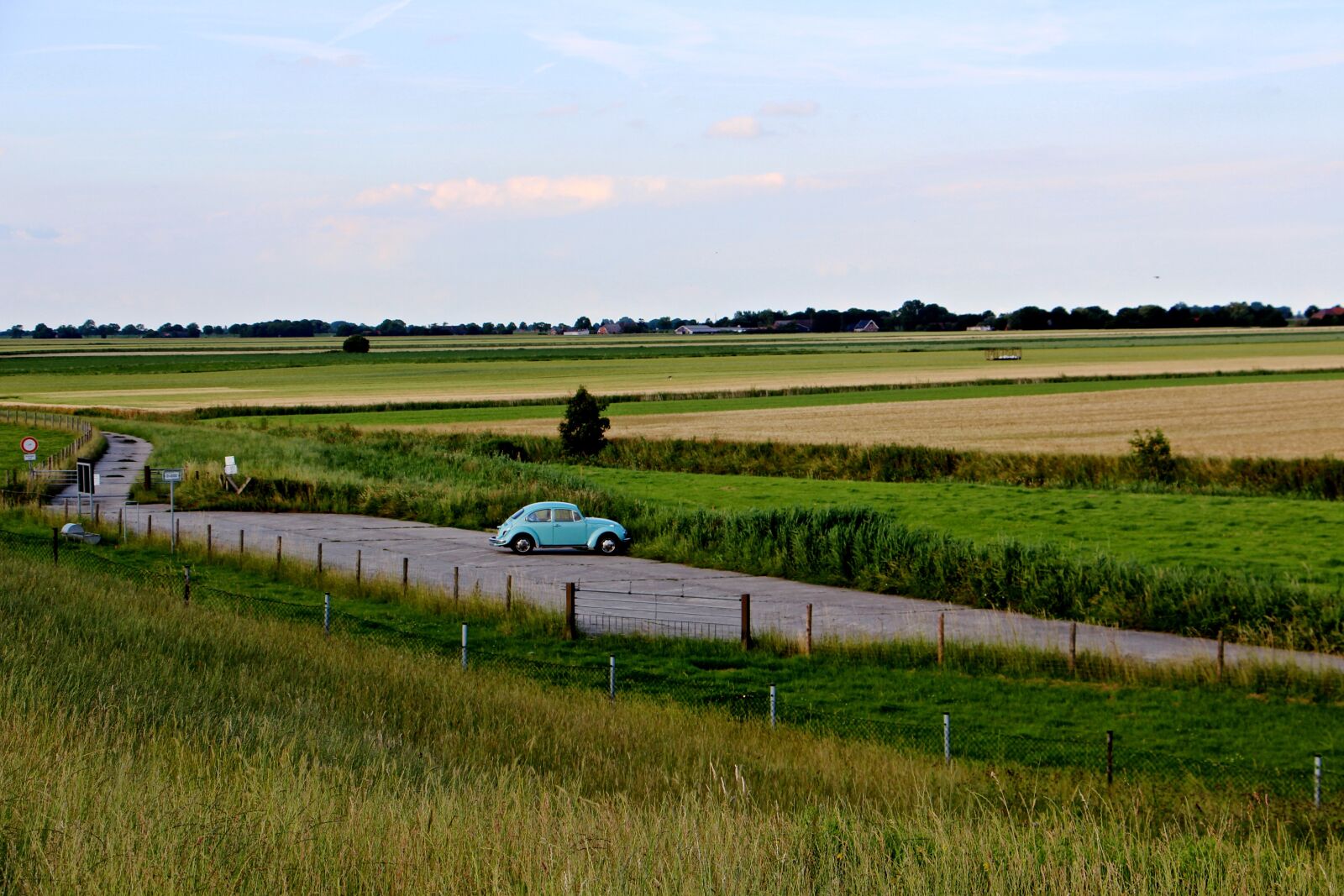 Canon EOS 700D (EOS Rebel T5i / EOS Kiss X7i) sample photo. High grass, grasses, nature photography