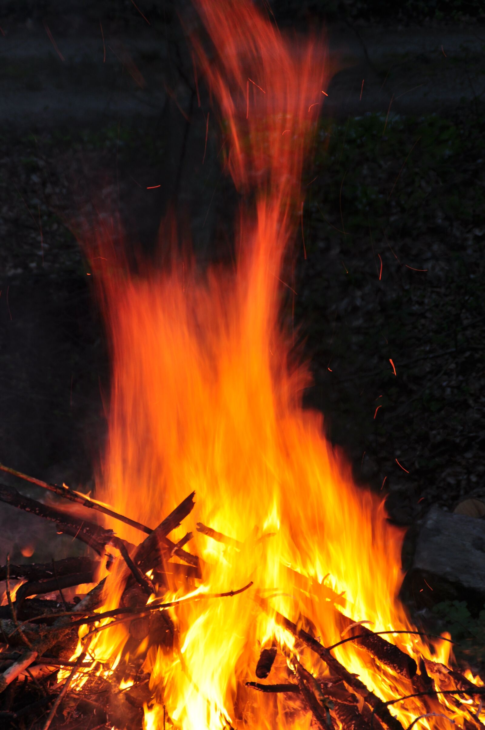 Nikon D90 sample photo. Campfire, fire, burn photography