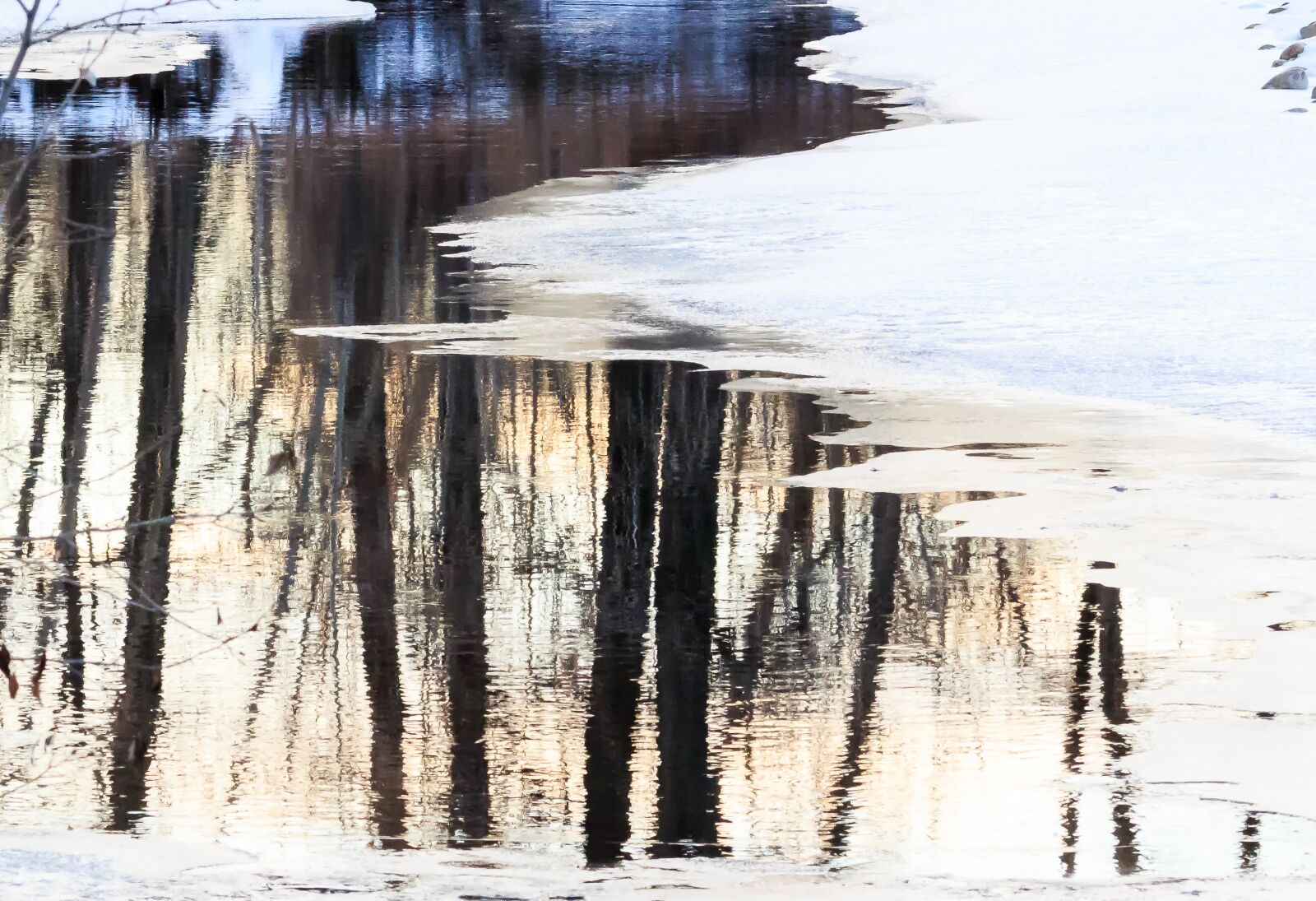 Canon EOS 650D (EOS Rebel T4i / EOS Kiss X6i) sample photo. Winter, reflection, trees photography