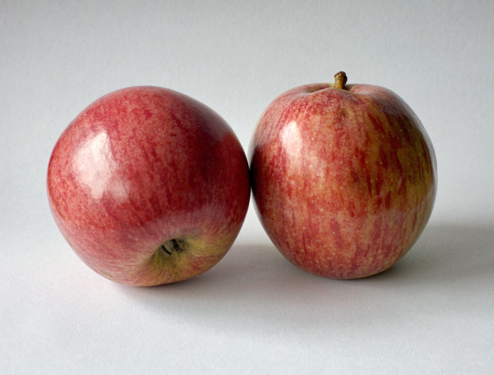 Sony Alpha DSLR-A290 sample photo. Apple, fruit, fall color photography