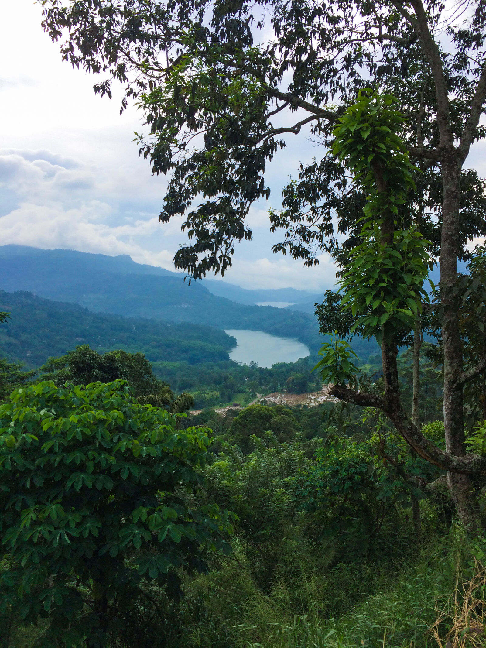 iPhone 5s back camera 4.15mm f/2.2 sample photo. Ramboda, lake, srilanka photography