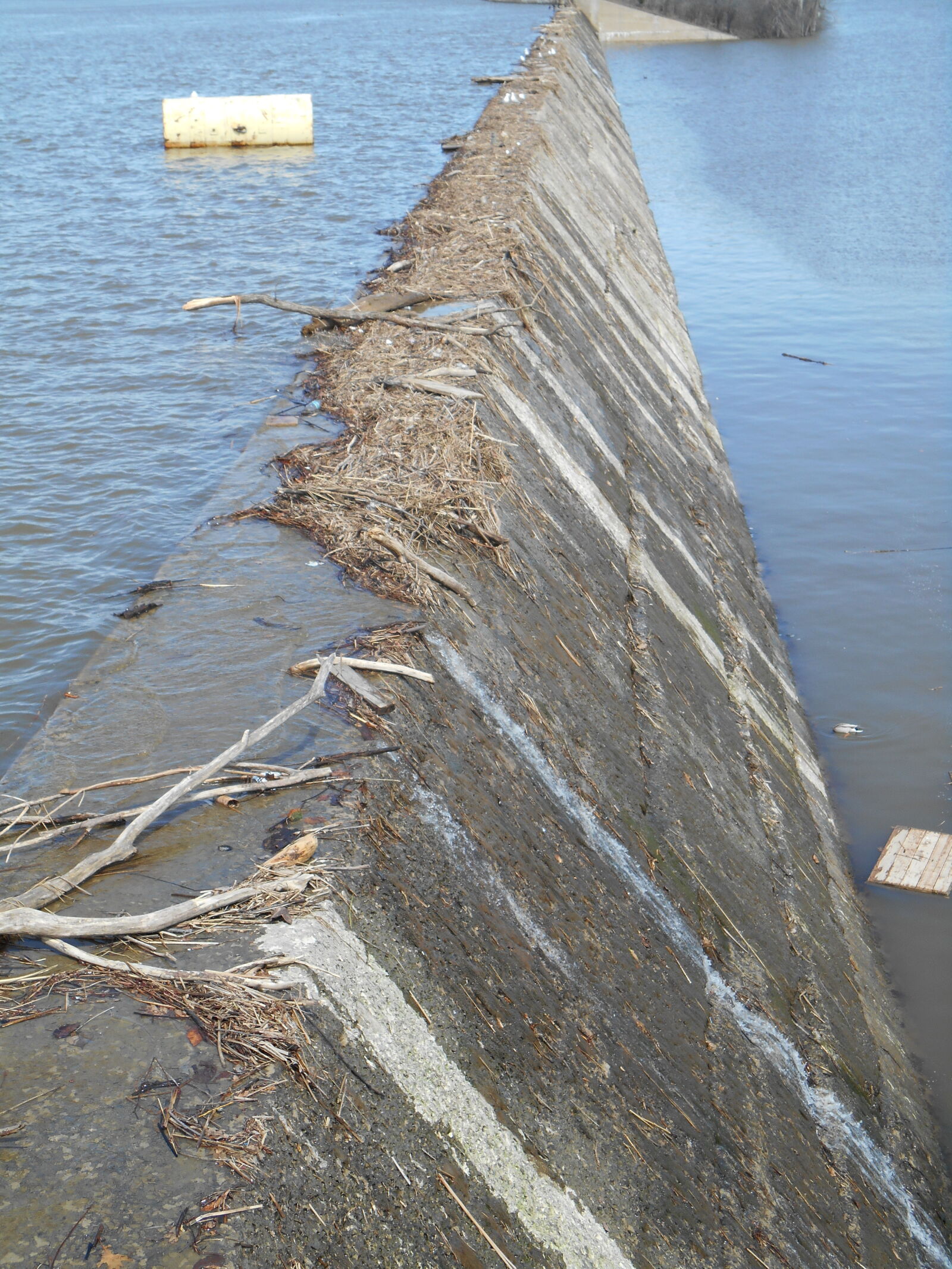 Nikon Coolpix S3500 sample photo. Eau, eaux, mure, wall photography