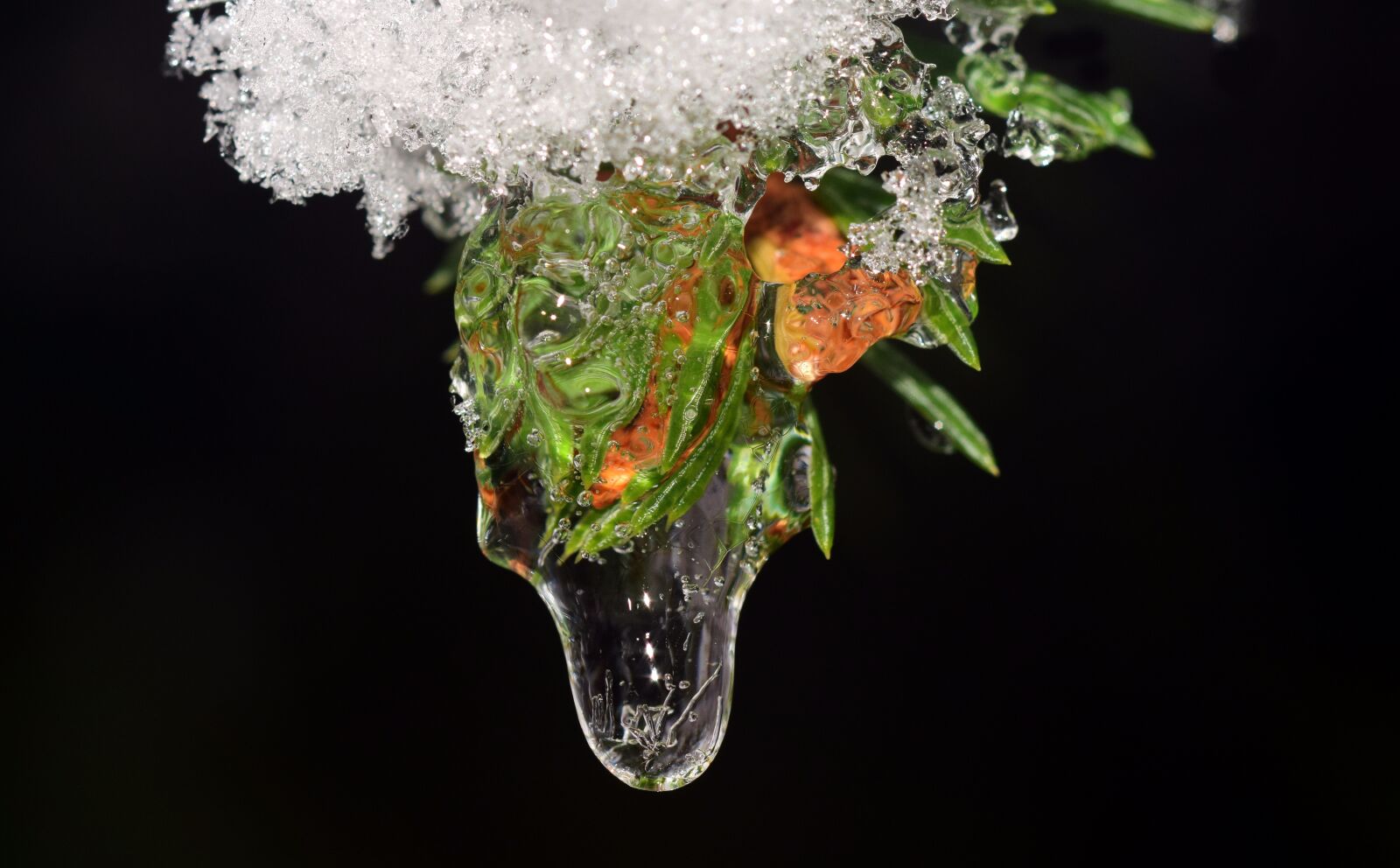 Nikon D3300 sample photo. Drip, frozen, ice photography