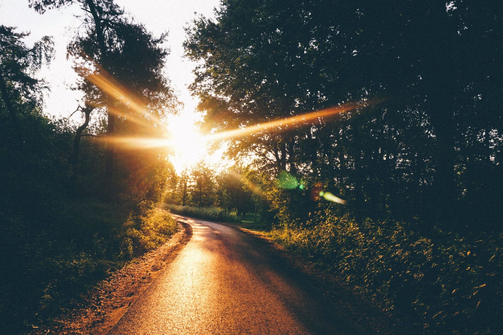 Sony Alpha a5000 (ILCE 5000) sample photo. Sky, dusk, road, forest photography