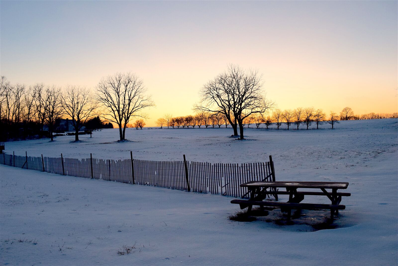 Nikon D3300 sample photo. Snow, fence, tree photography