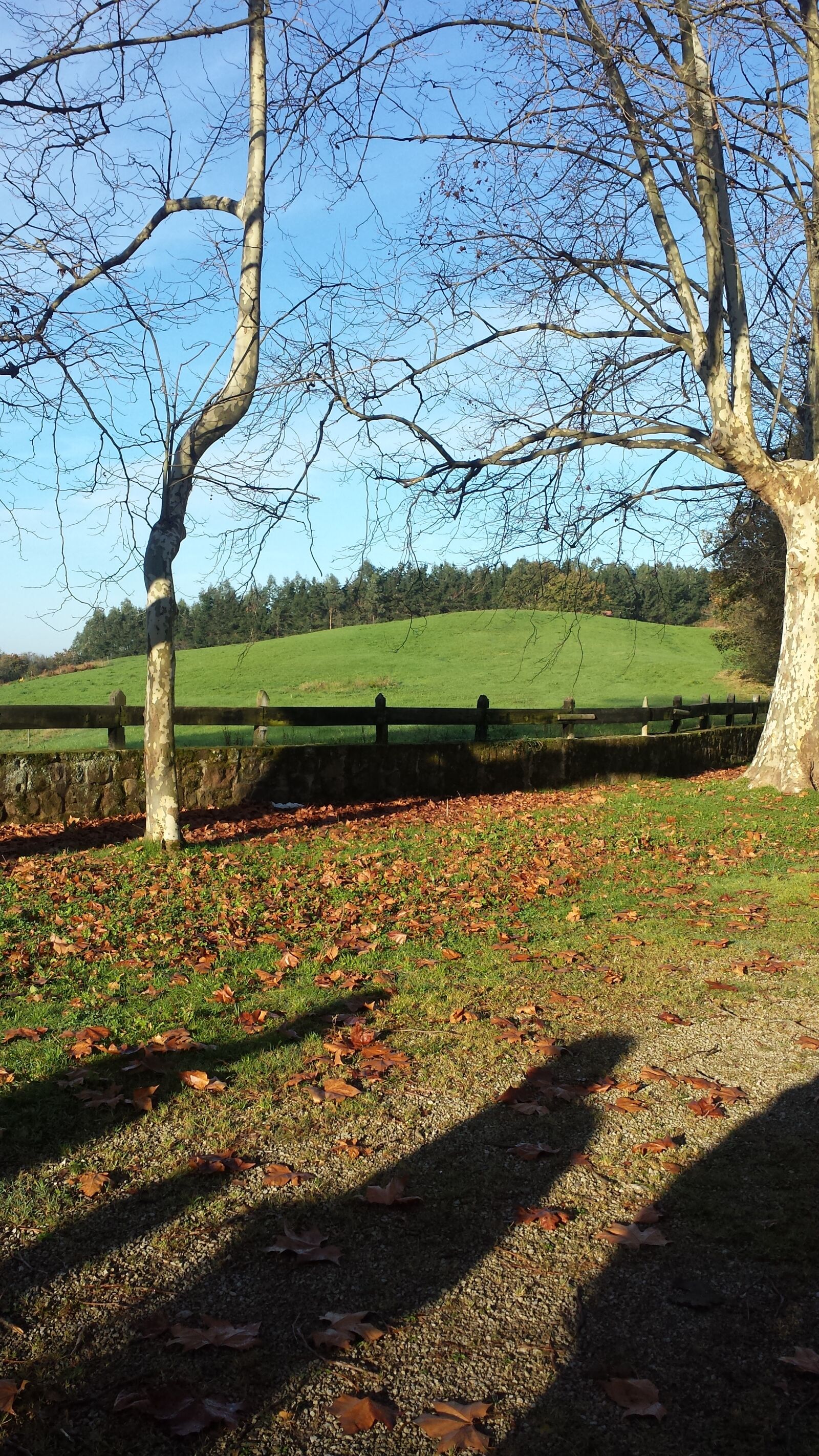 Samsung Galaxy S4 sample photo. Monte, corona, prados, y photography