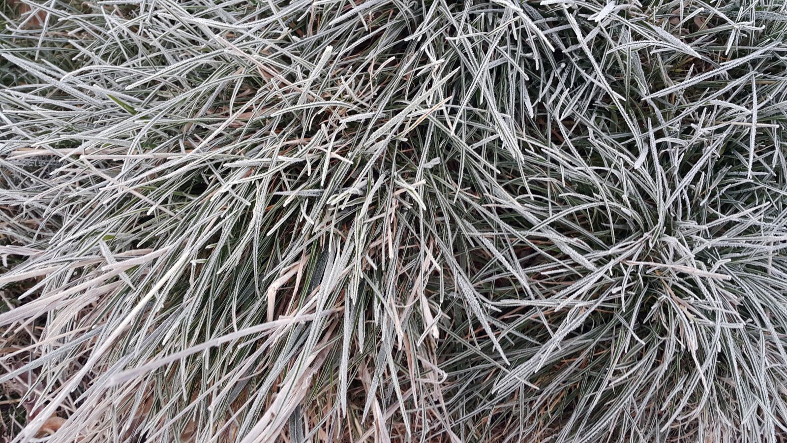 Samsung Galaxy Note4 sample photo. Winter, ice, freezing photography
