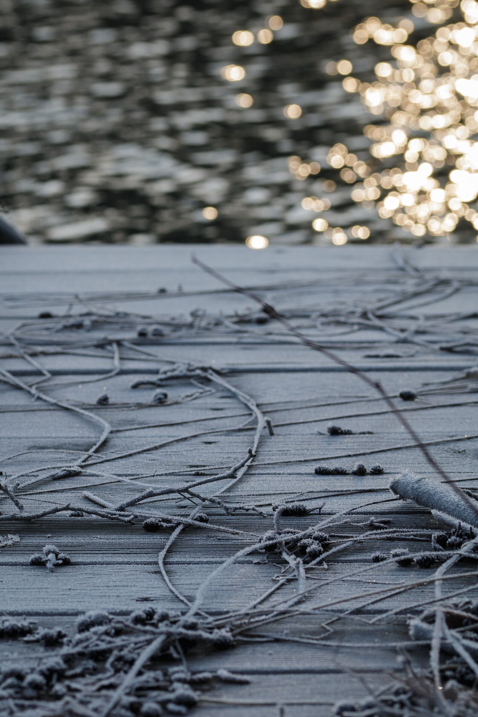 Canon EOS 70D sample photo. Web, ice, winter photography