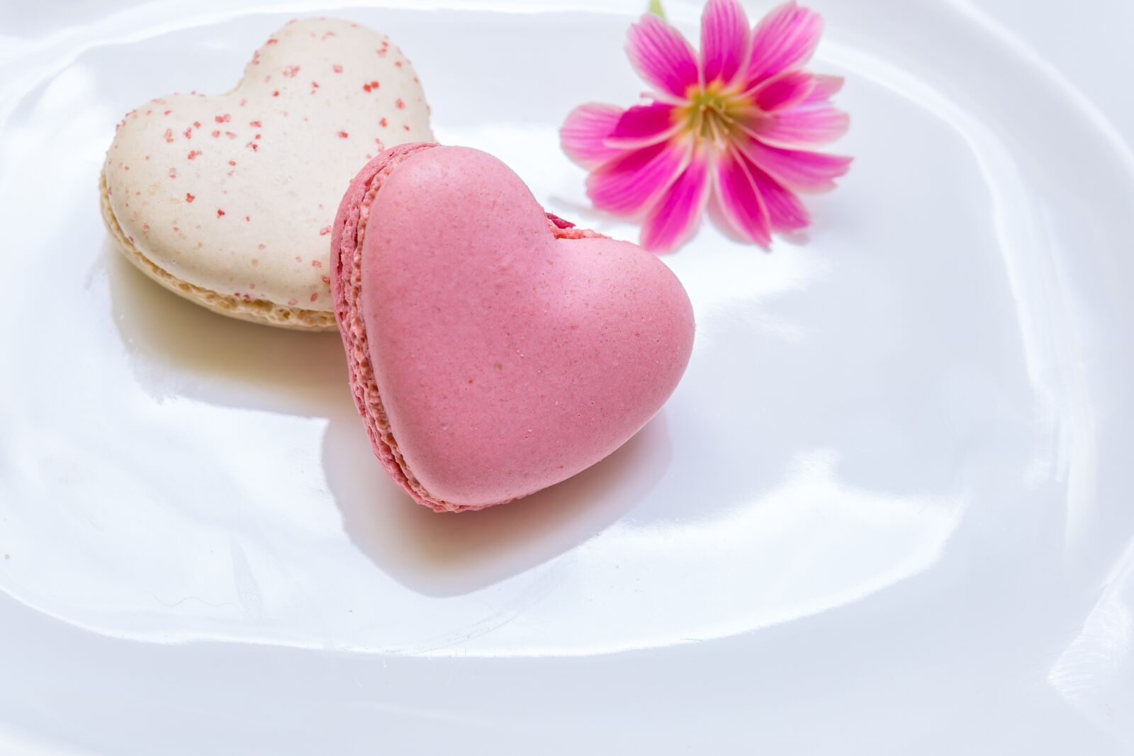30mm F1.4 DC DN | Contemporary 016 sample photo. Macarons, heart shape, love photography