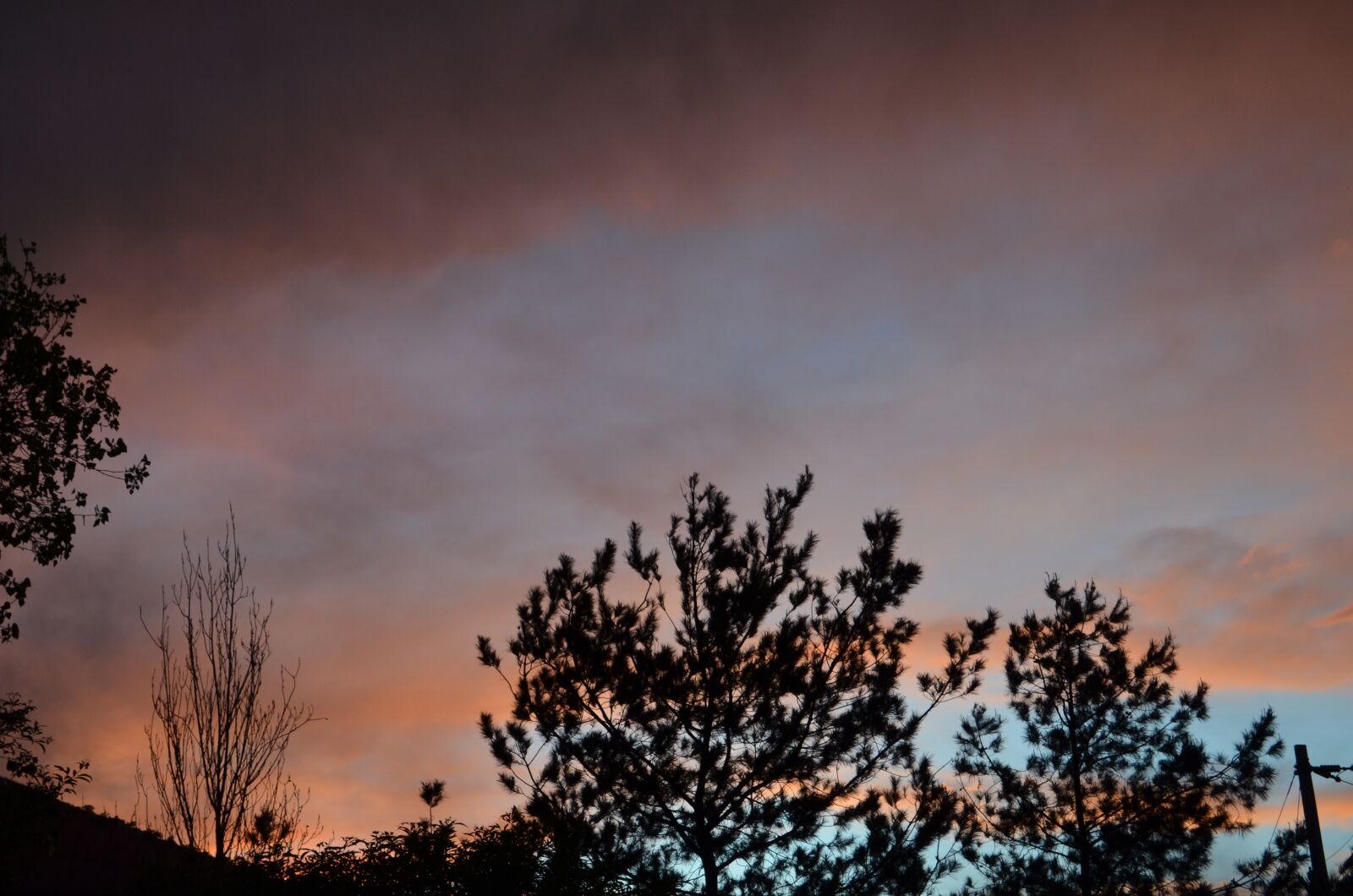 Nikon D5100 sample photo. Cloud, tree, landscape photography