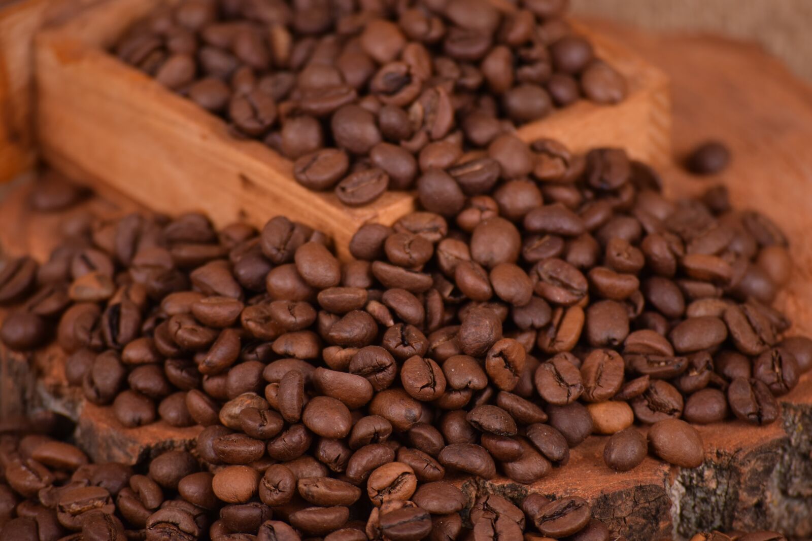 Nikon D3300 sample photo. Coffee, caffeine, seed photography