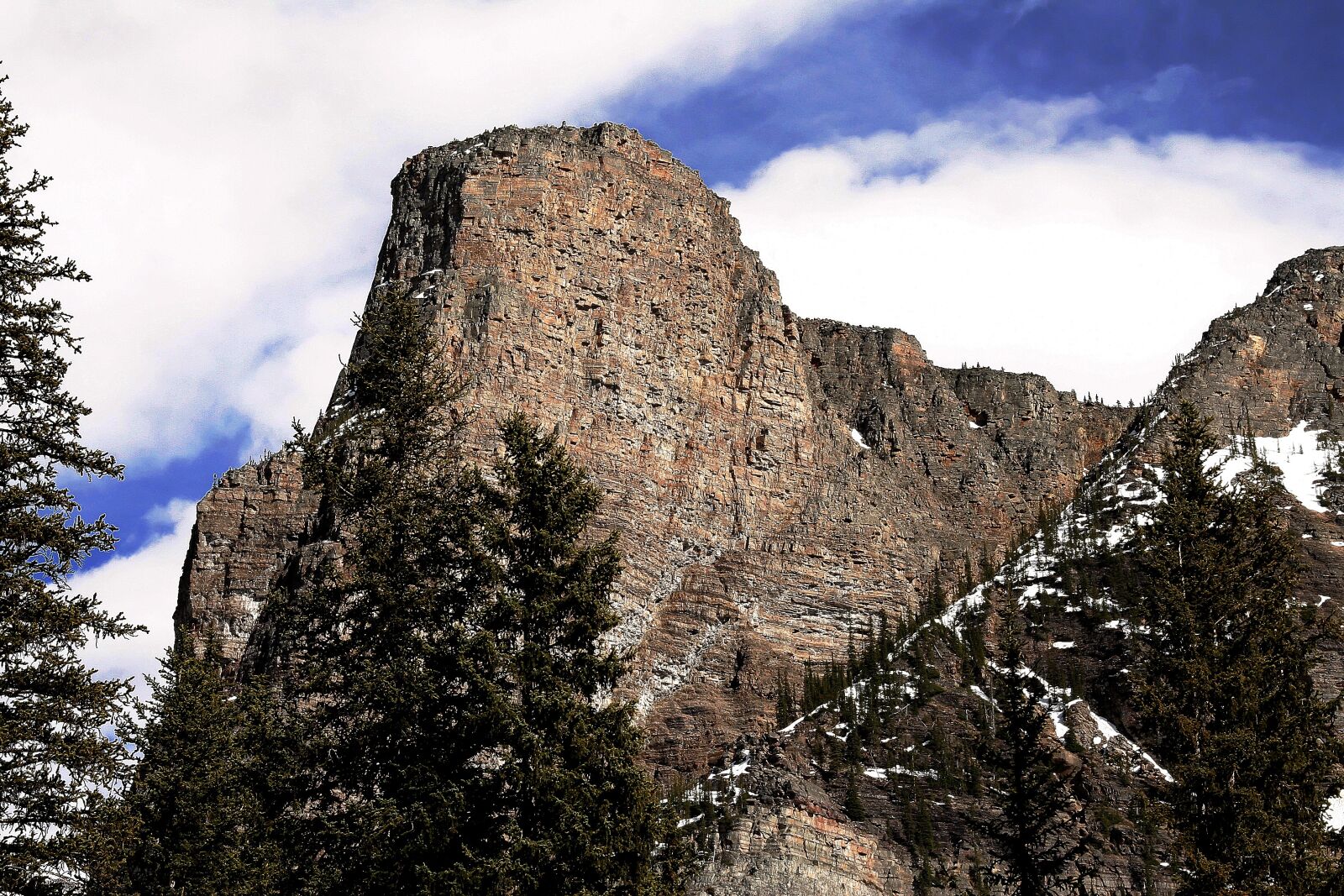 Canon EOS 20D sample photo. Mountain, trees, canada photography