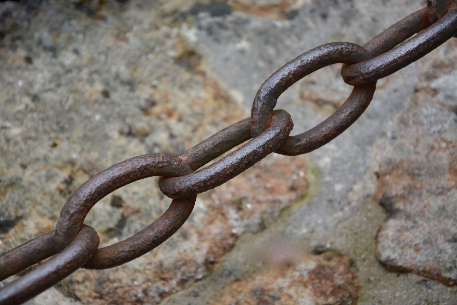 Nikon D5200 sample photo. String, metal, chain link photography
