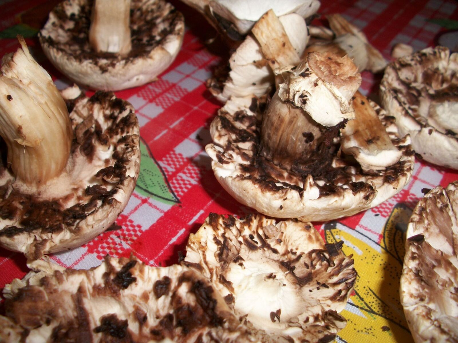 Kodak EASYSHARE M340 DIGITAL CAMERA sample photo. Mushrooms, fungus, toadstool photography