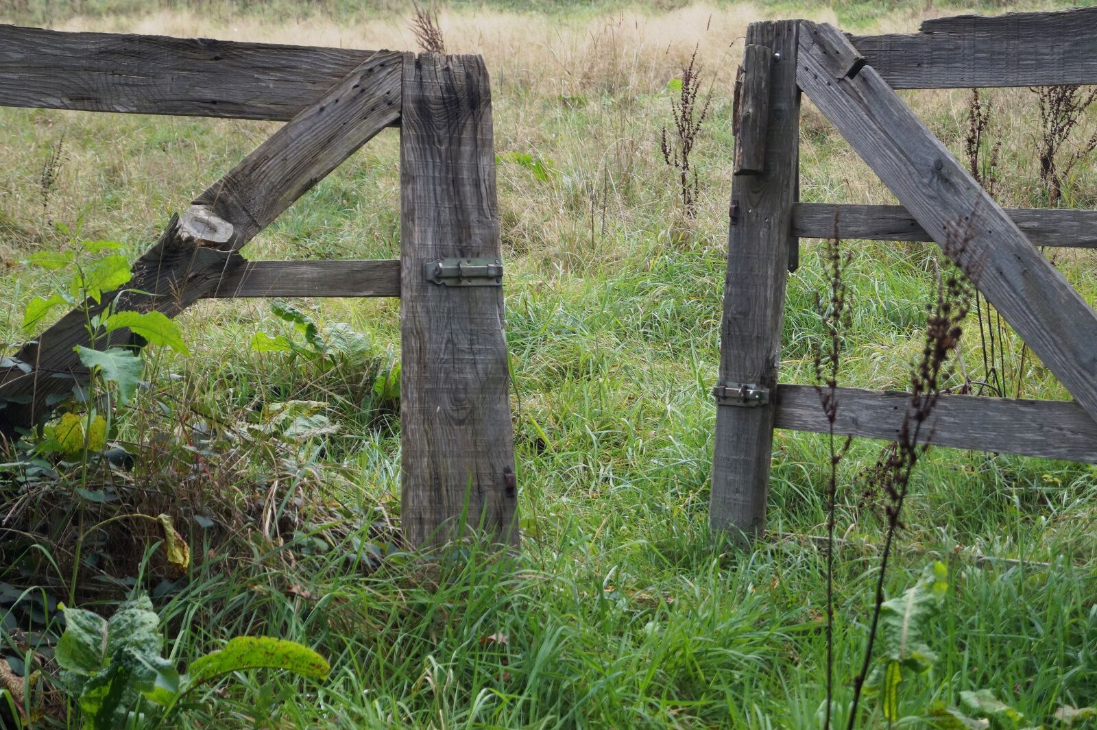 Sony SLT-A58 sample photo. Goal, wooden gate, input photography