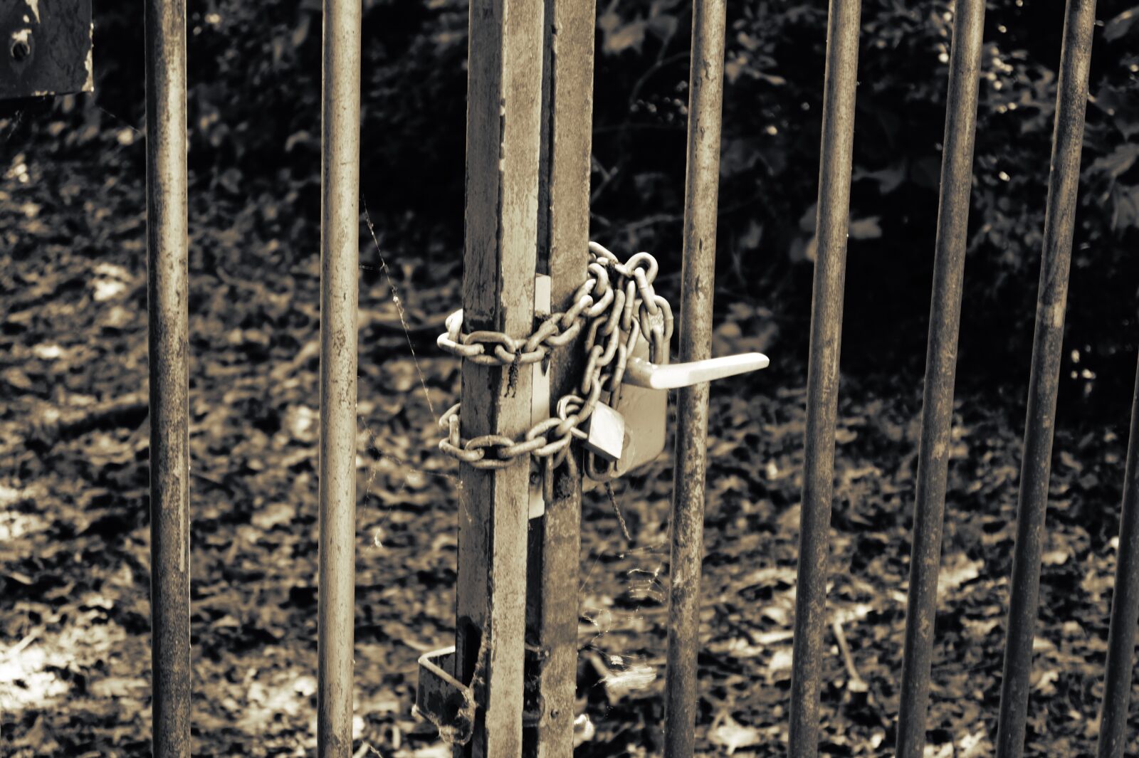 Sony SLT-A58 sample photo. Black, and, white, chains photography