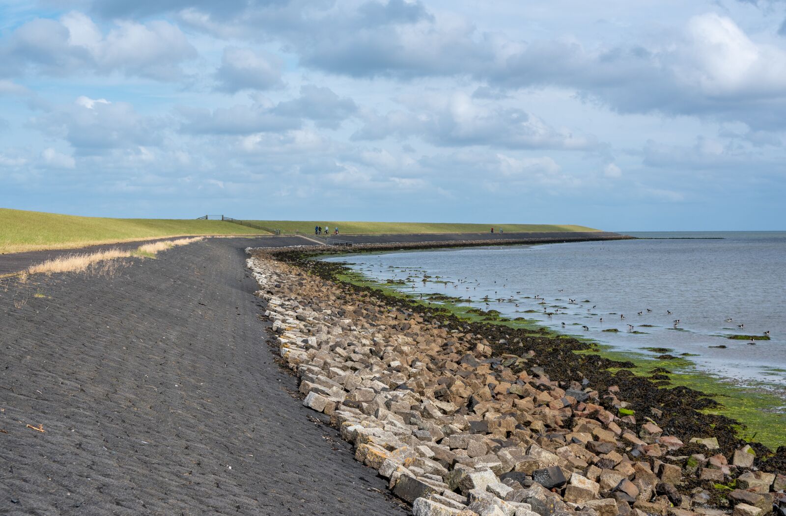 Nikon D750 sample photo. Dikes, water, netherlands photography