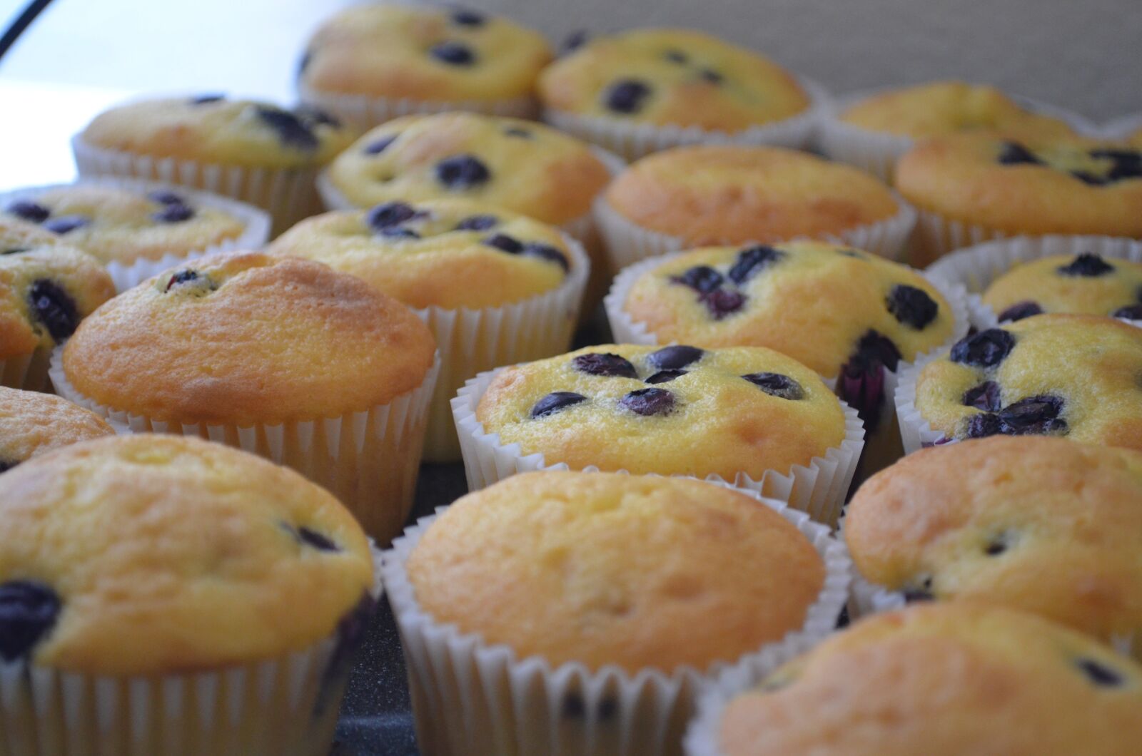Nikon D5100 sample photo. Blue berry muffin, blue photography