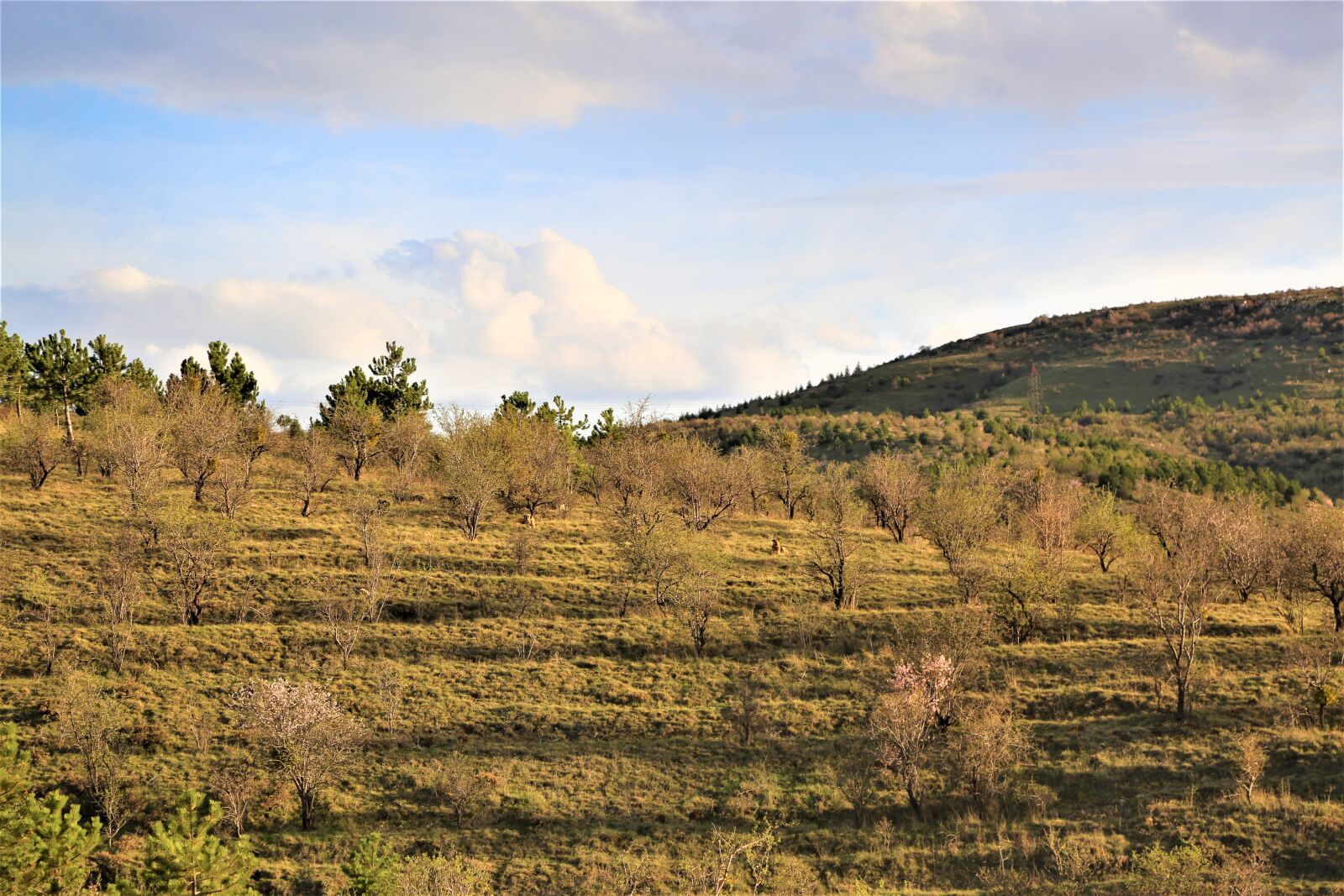 Canon EF 24-105mm F4L IS USM sample photo. Nature, land, sky photography