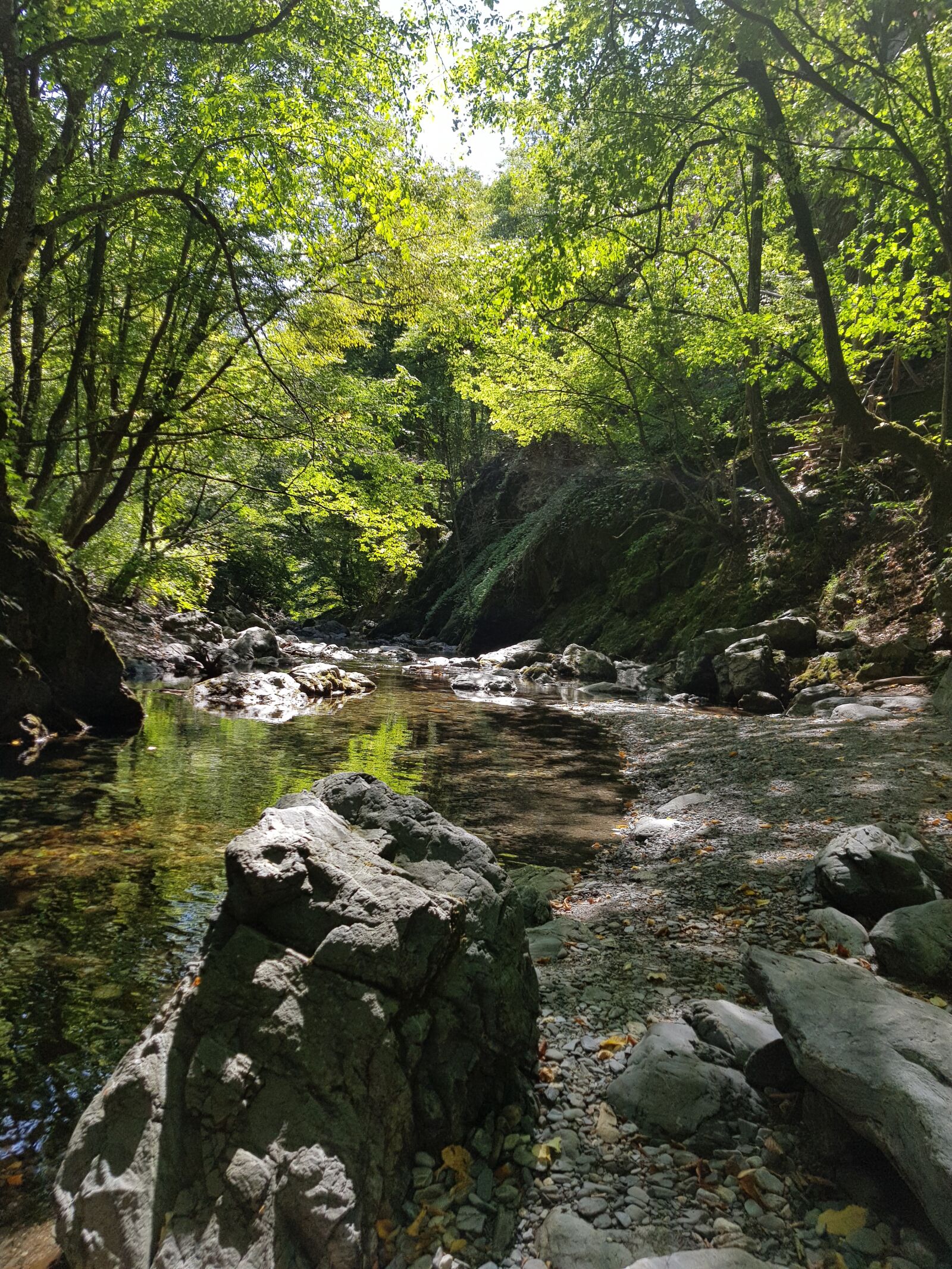 Samsung Galaxy S8 sample photo. Nature, sun, water photography