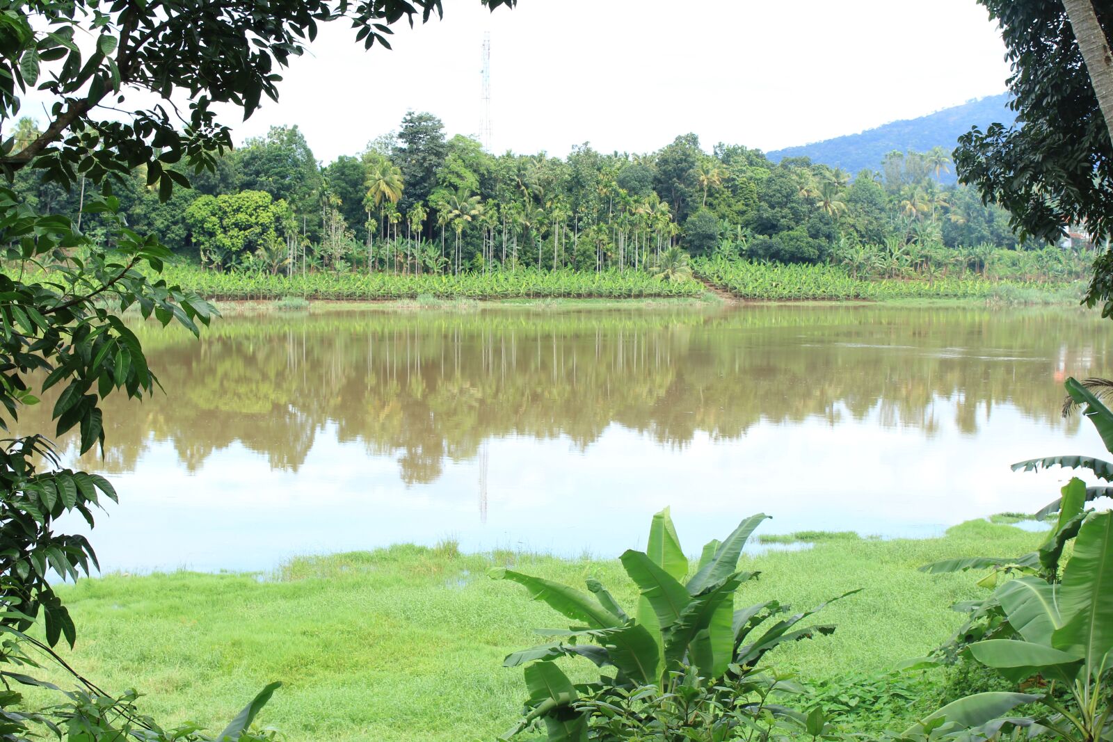Canon EOS 1200D (EOS Rebel T5 / EOS Kiss X70 / EOS Hi) sample photo. Landscape, river, kerala photography