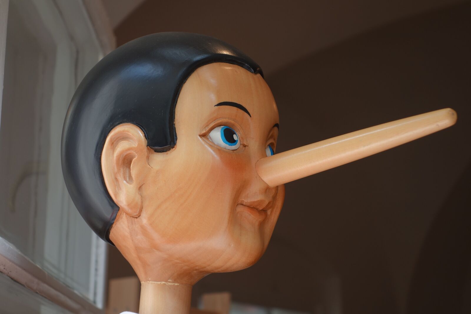 Sony Cyber-shot DSC-RX100 sample photo. Pinocchio, nose, lying nose photography