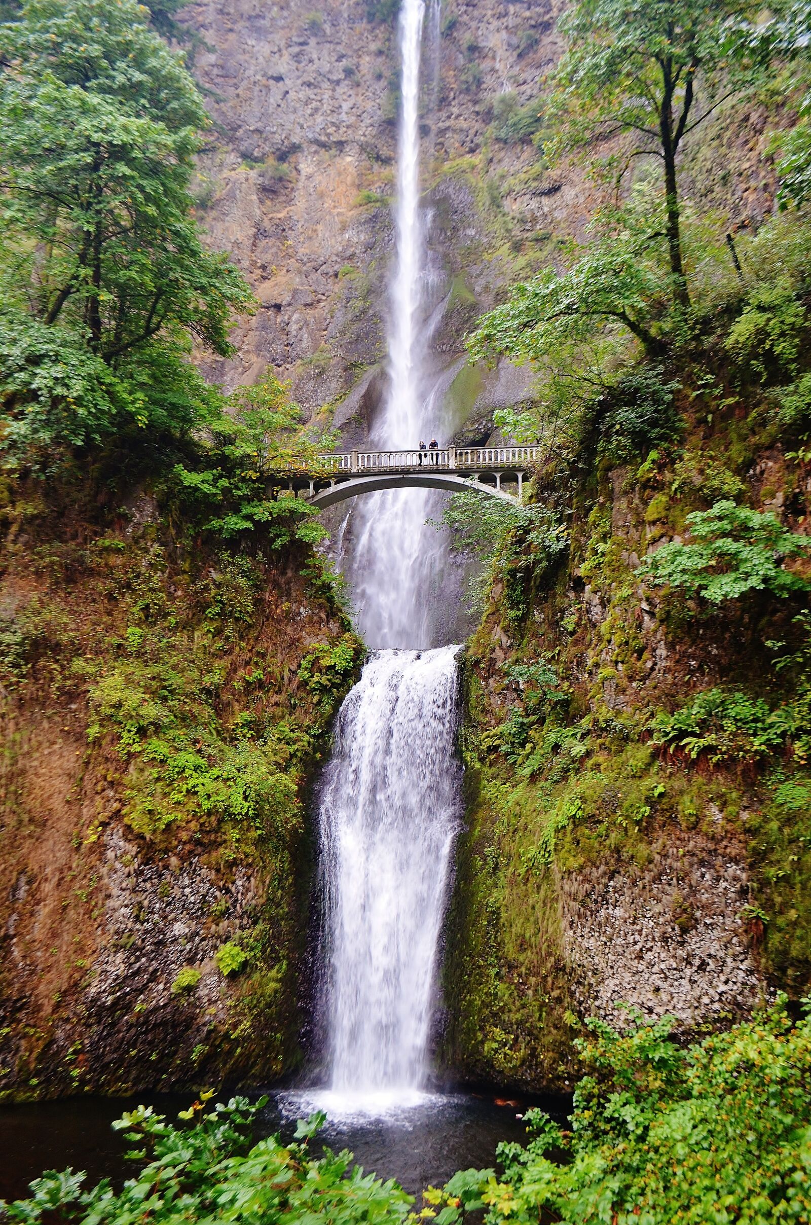 Nikon D5100 sample photo. Multnomah falls, double water photography