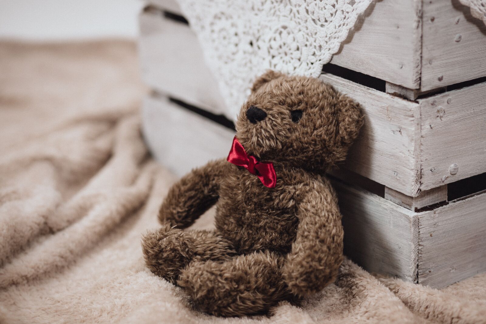Canon EF 85mm F1.8 USM sample photo. Stuff, toy, display photography