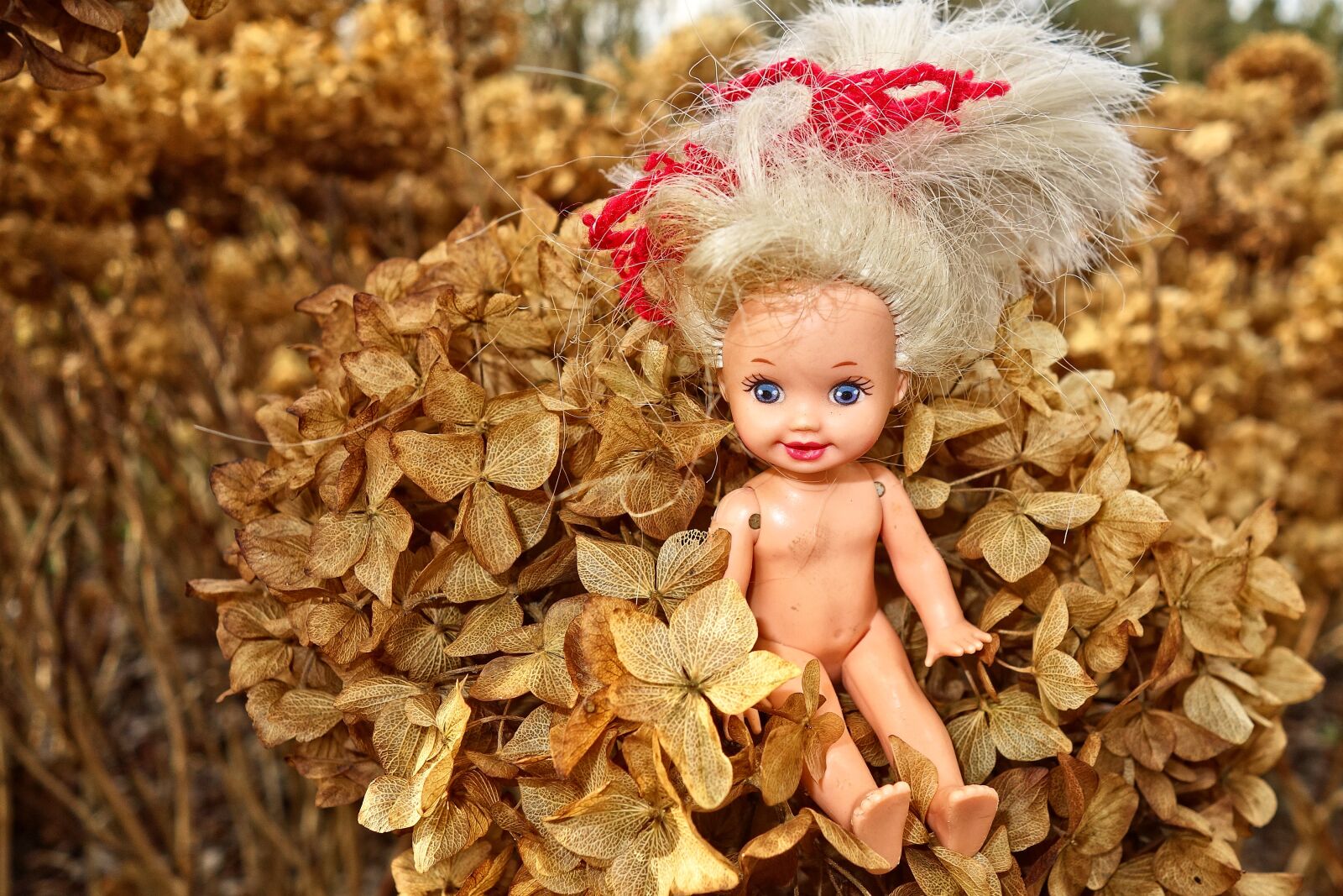 Sony Cyber-shot DSC-RX100 sample photo. Doll, female doll, girl photography