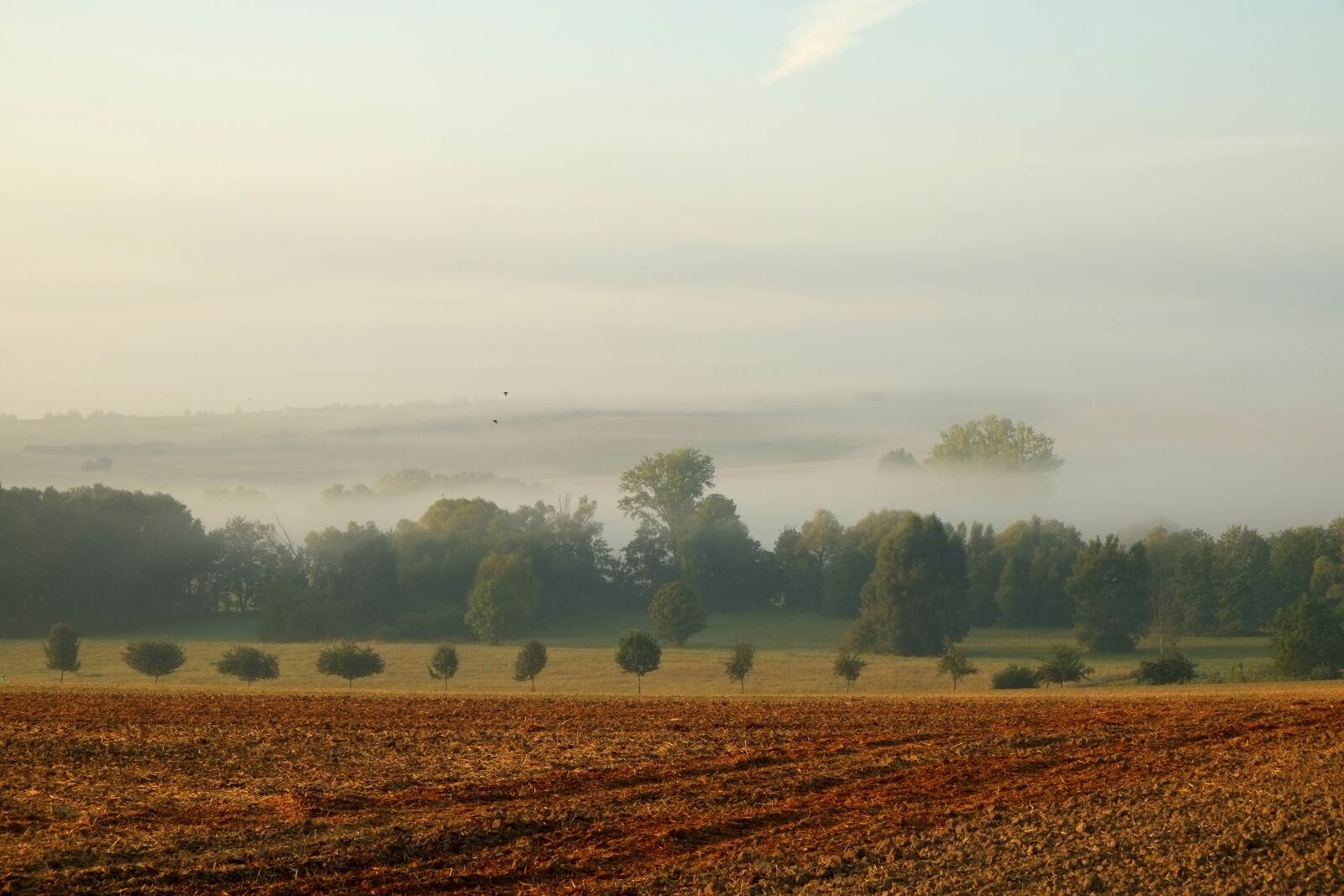 Fujifilm X-E1 sample photo. Landscape, fog, nature photography