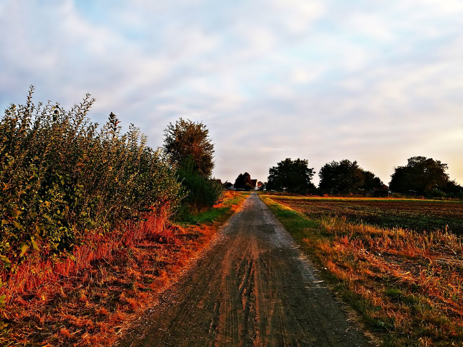 Samsung Galaxy J5 sample photo. Autumn, the sun, west photography