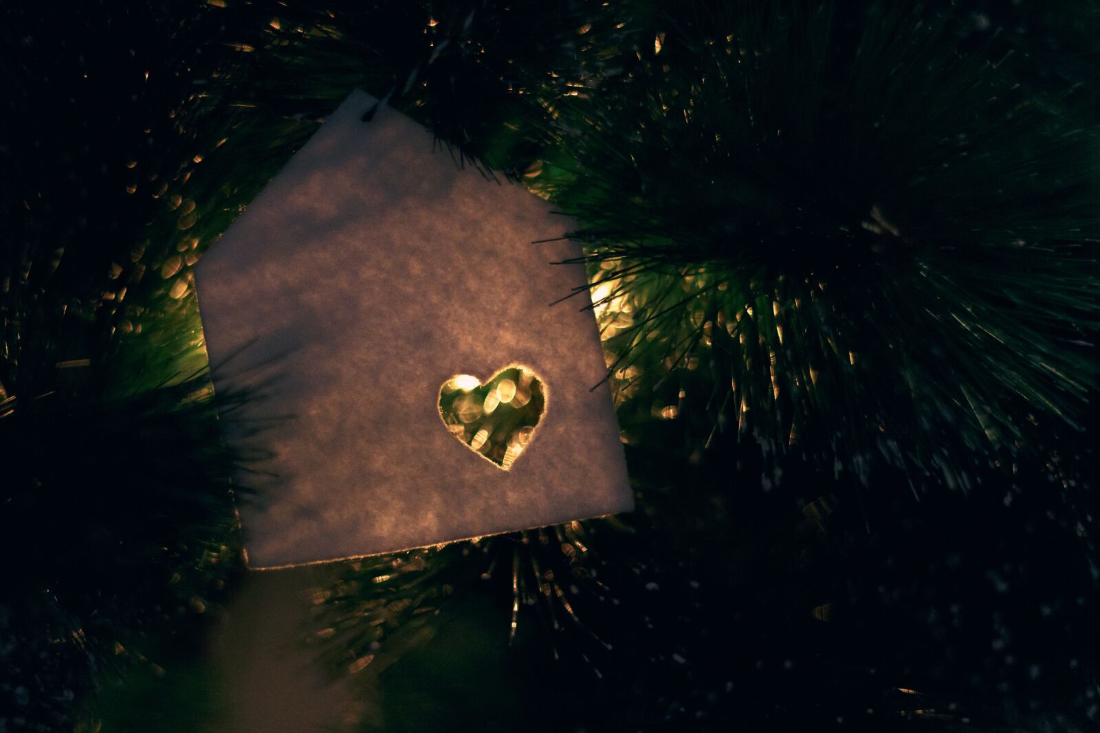 Canon EOS 70D sample photo. Christmas, christmas tree, decoration photography
