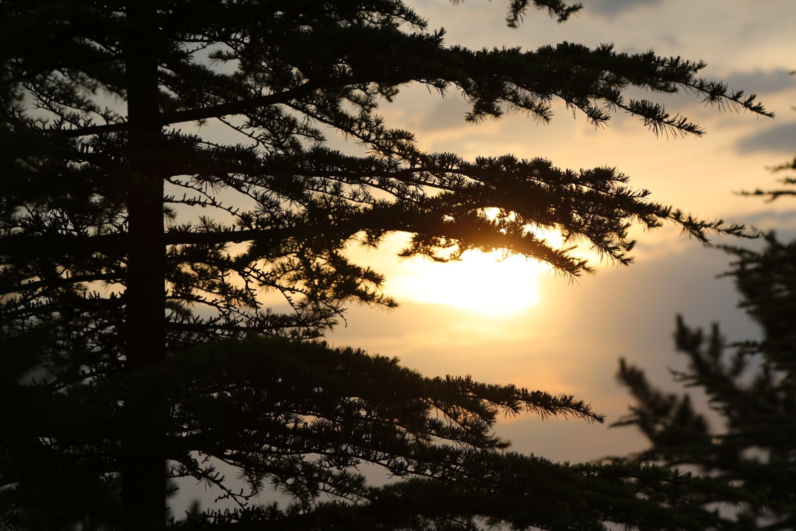 Canon EF 24-105mm F4L IS USM sample photo. Outdoor, sunset, landscape photography