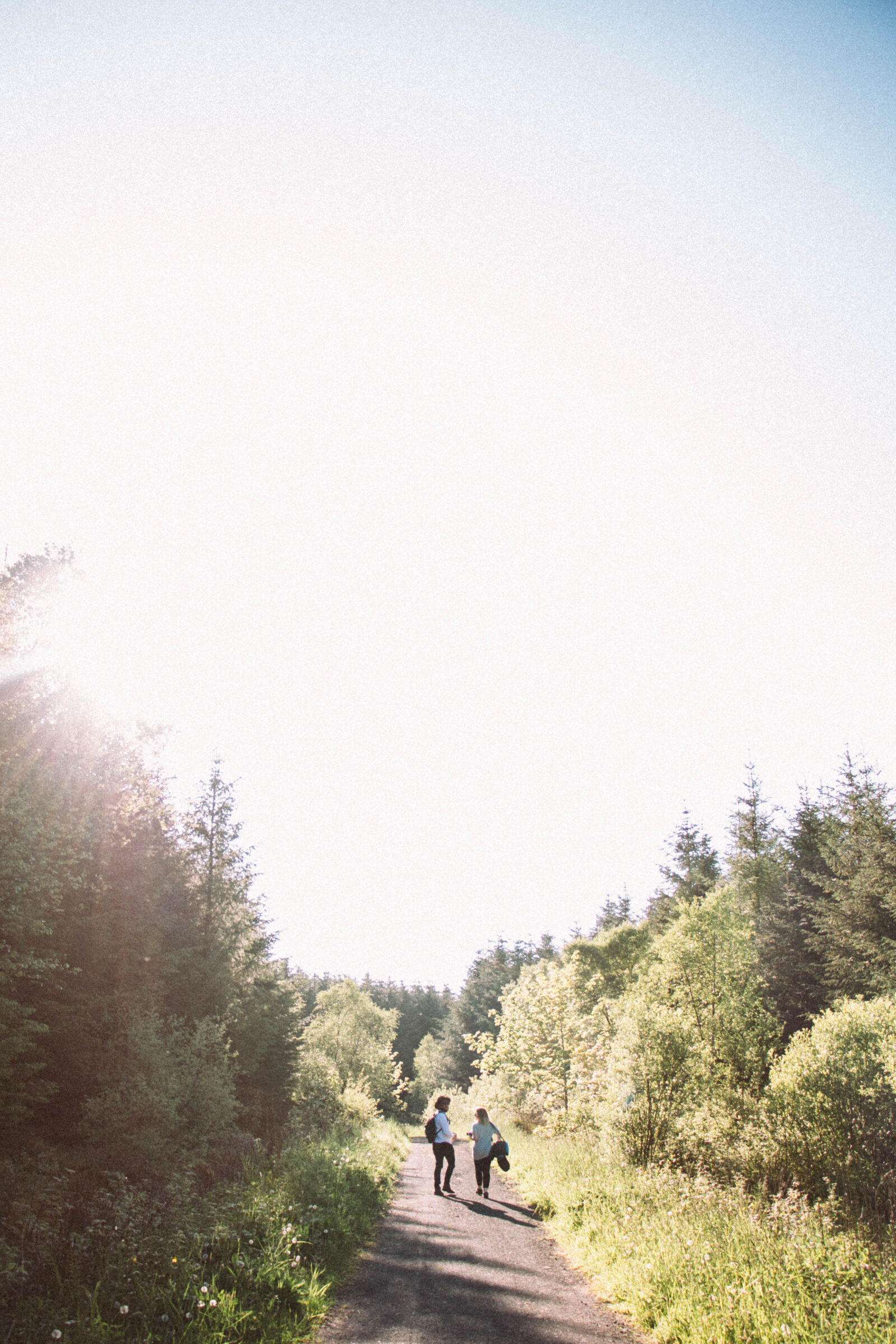 Canon EOS 70D sample photo. Wood, road, landscape, nature photography