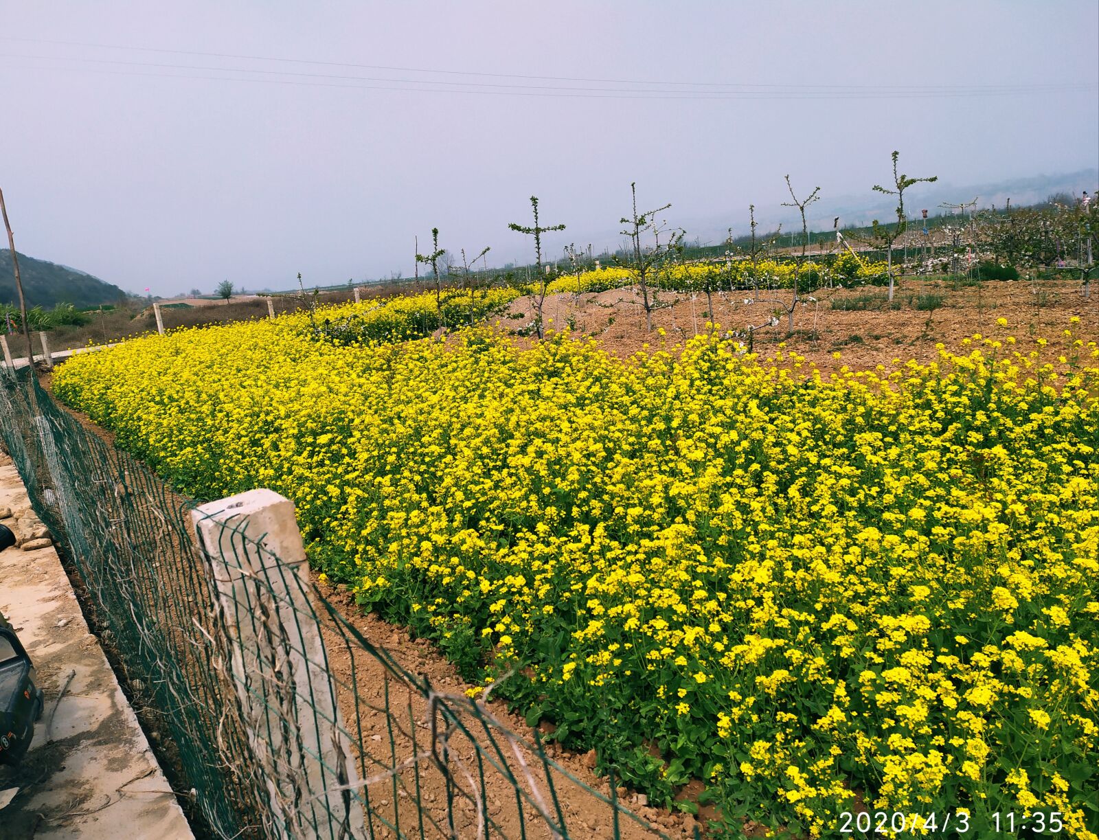 Xiaomi Redmi Note 7 sample photo. Flowers, fences, village photography