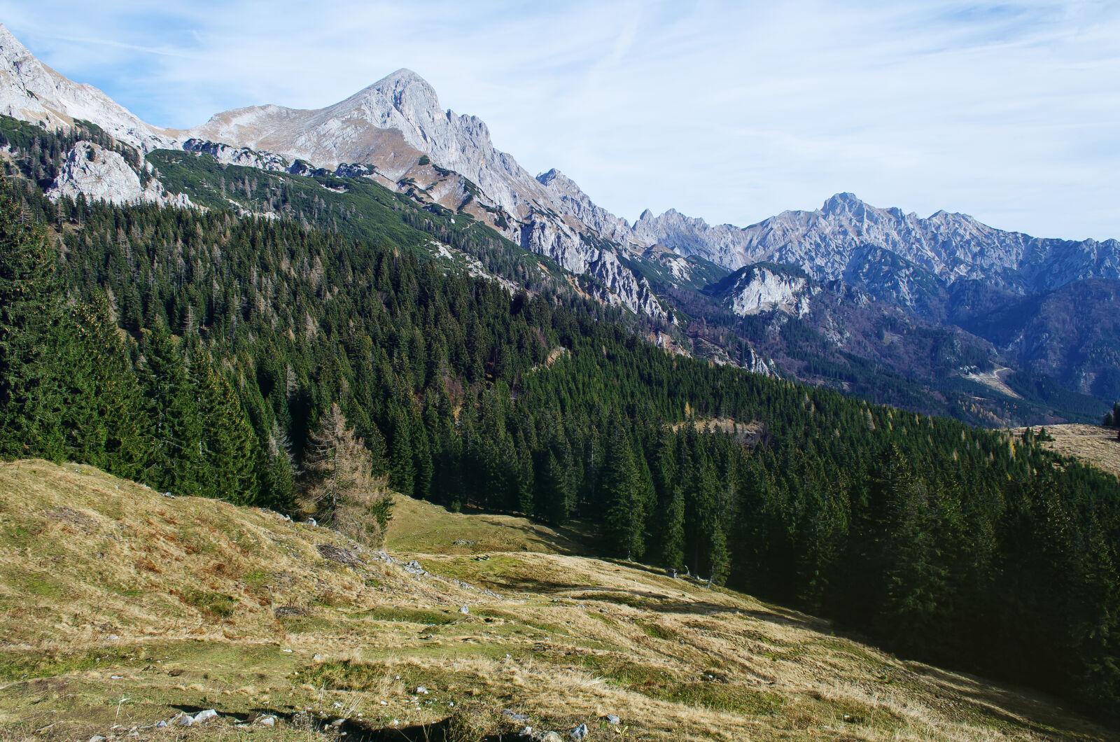 Nikon D5100 sample photo. Autumn, fall, mountains, nature photography