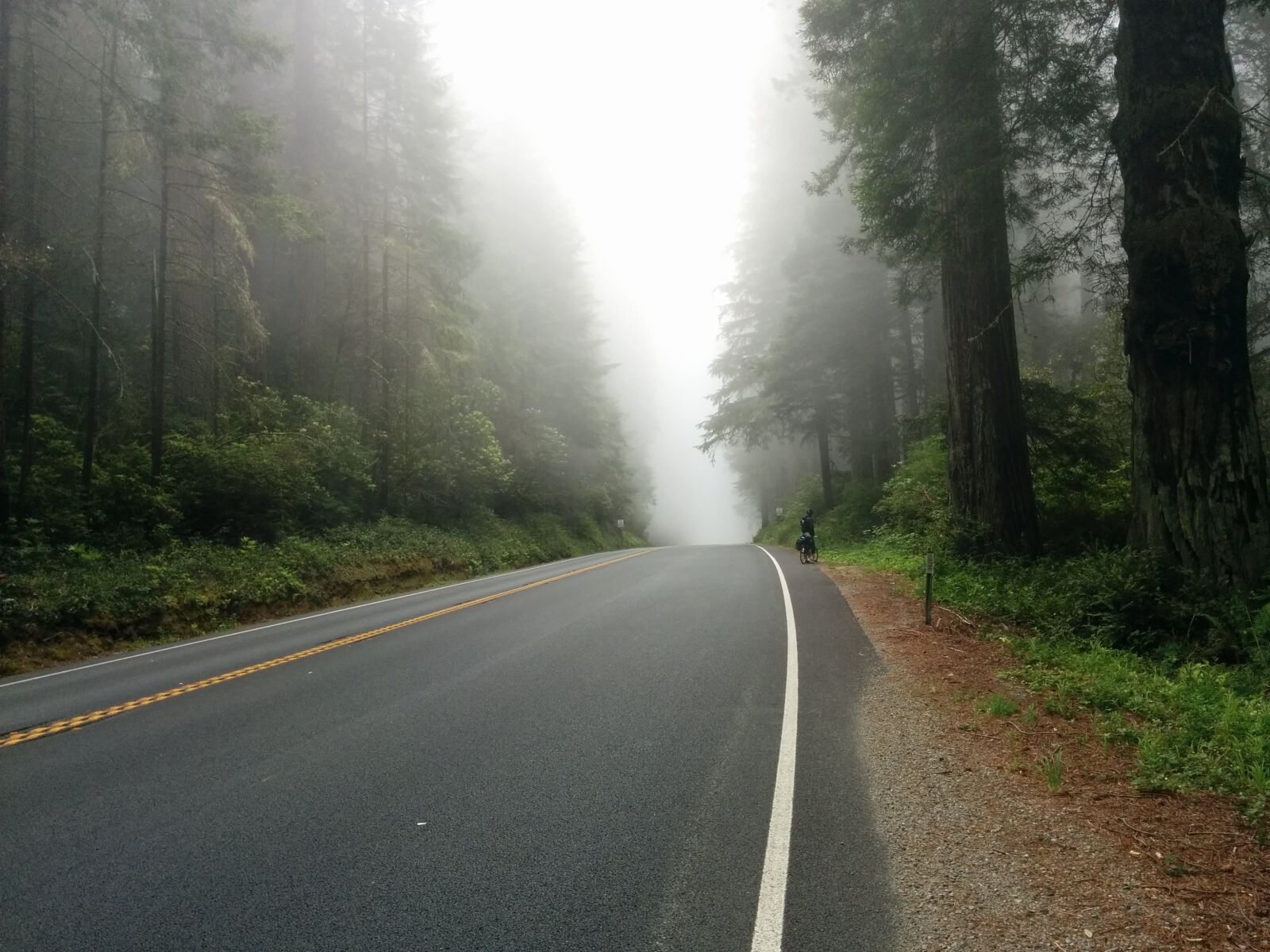 LG Nexus 5 sample photo. Asphalt, drive, fog photography