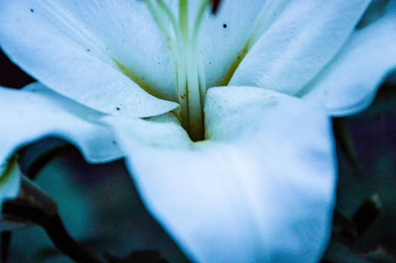 Nikon D3200 sample photo