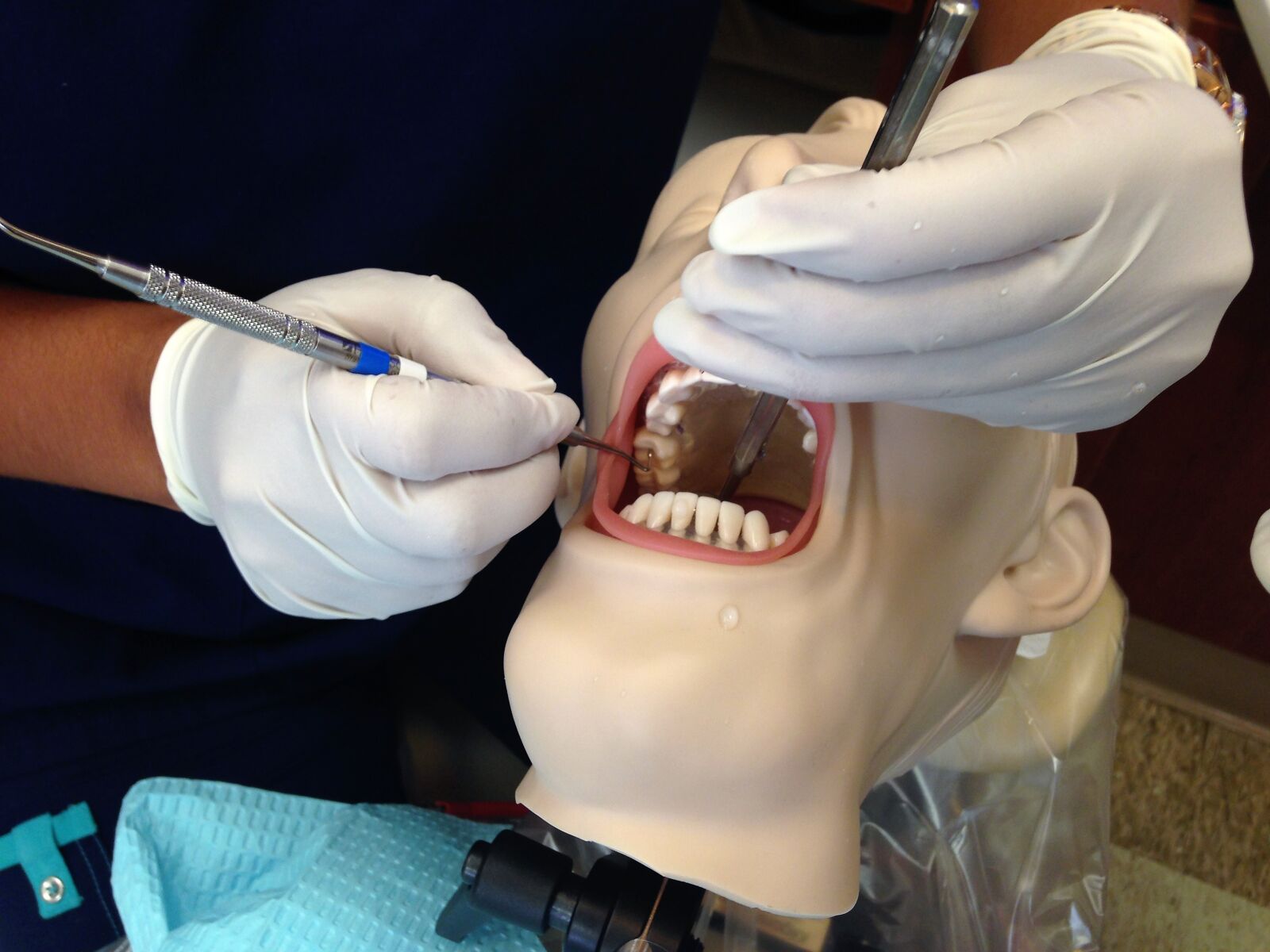 iPhone 5c back camera 4.12mm f/2.4 sample photo. Dental assisting, mannequin, head photography