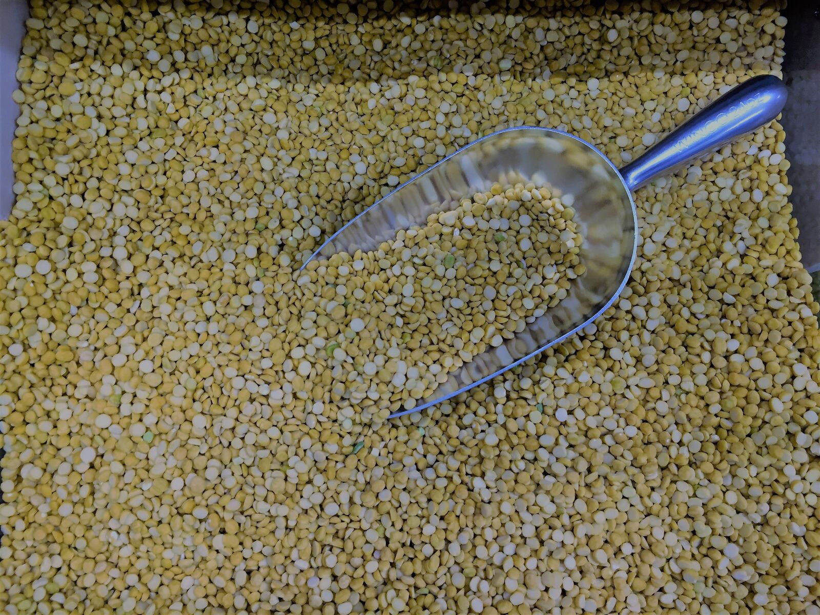 Apple iPhone 6 sample photo. Yellow, split, pea photography