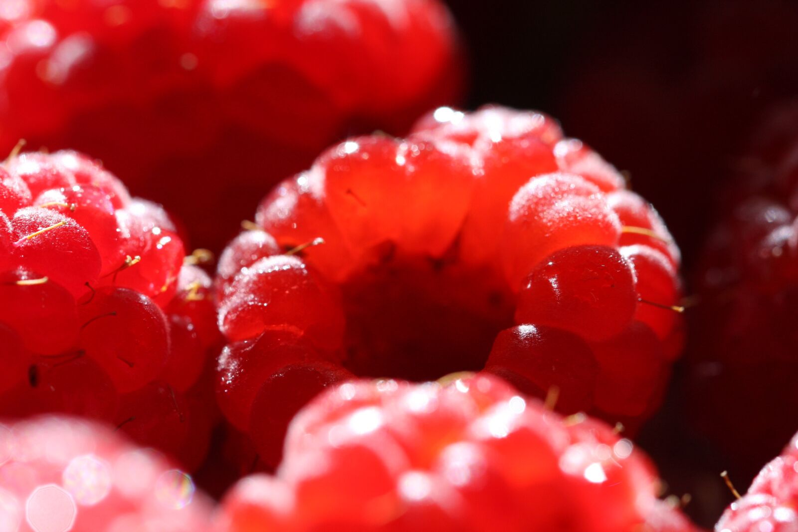 Canon EOS 40D sample photo. Raspberry, macro, vitamin photography