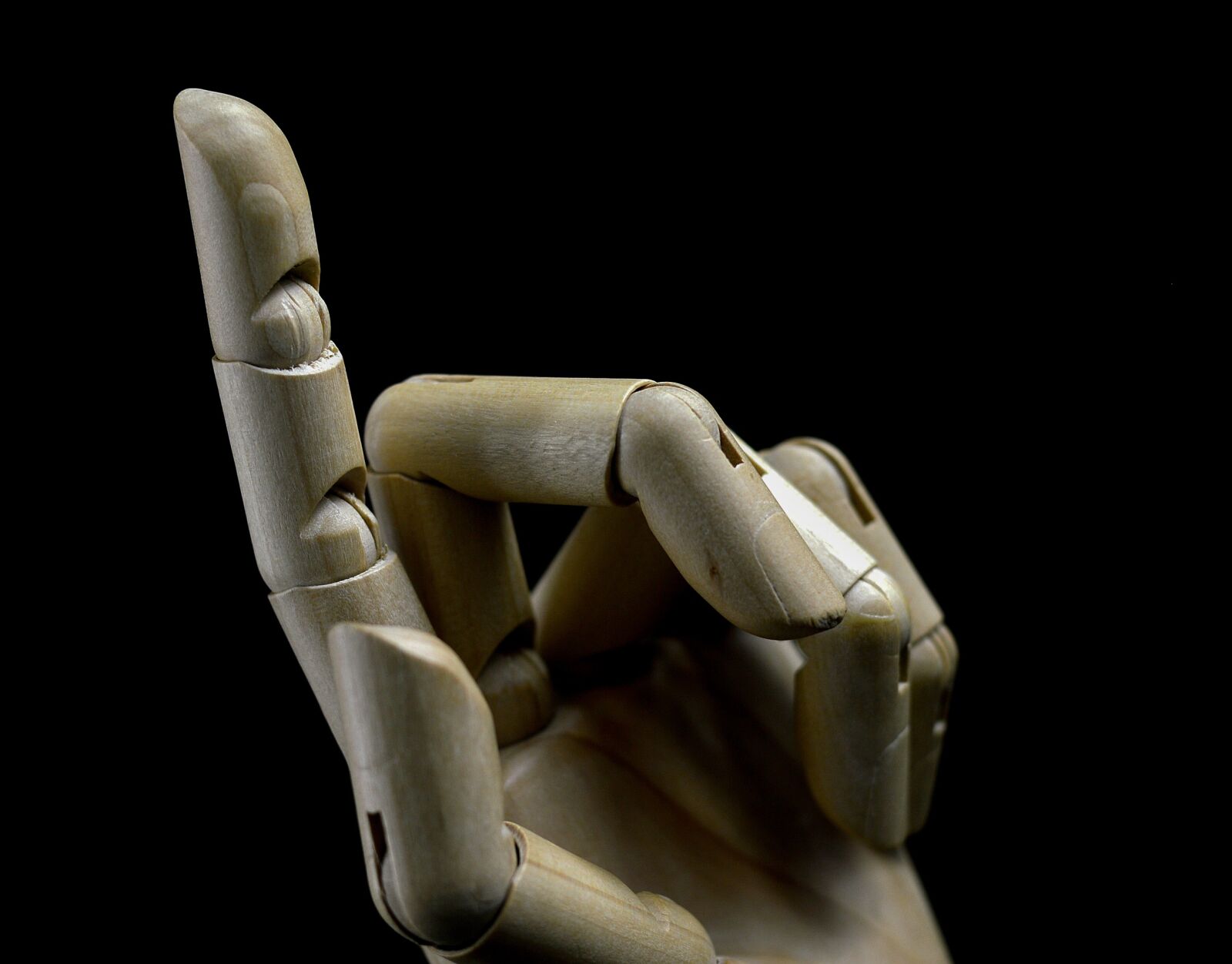 Nikon D3200 sample photo. Hand, finger, indicate the photography