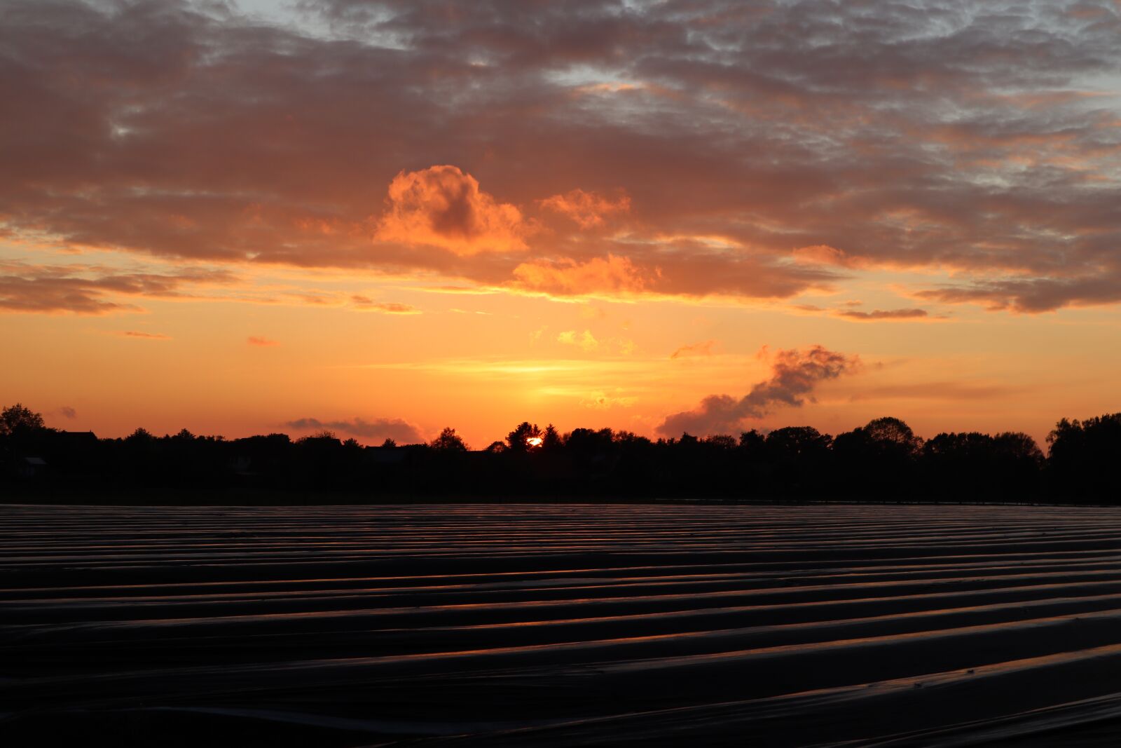 Canon EOS M50 (EOS Kiss M) sample photo. Sunset, field, sky photography