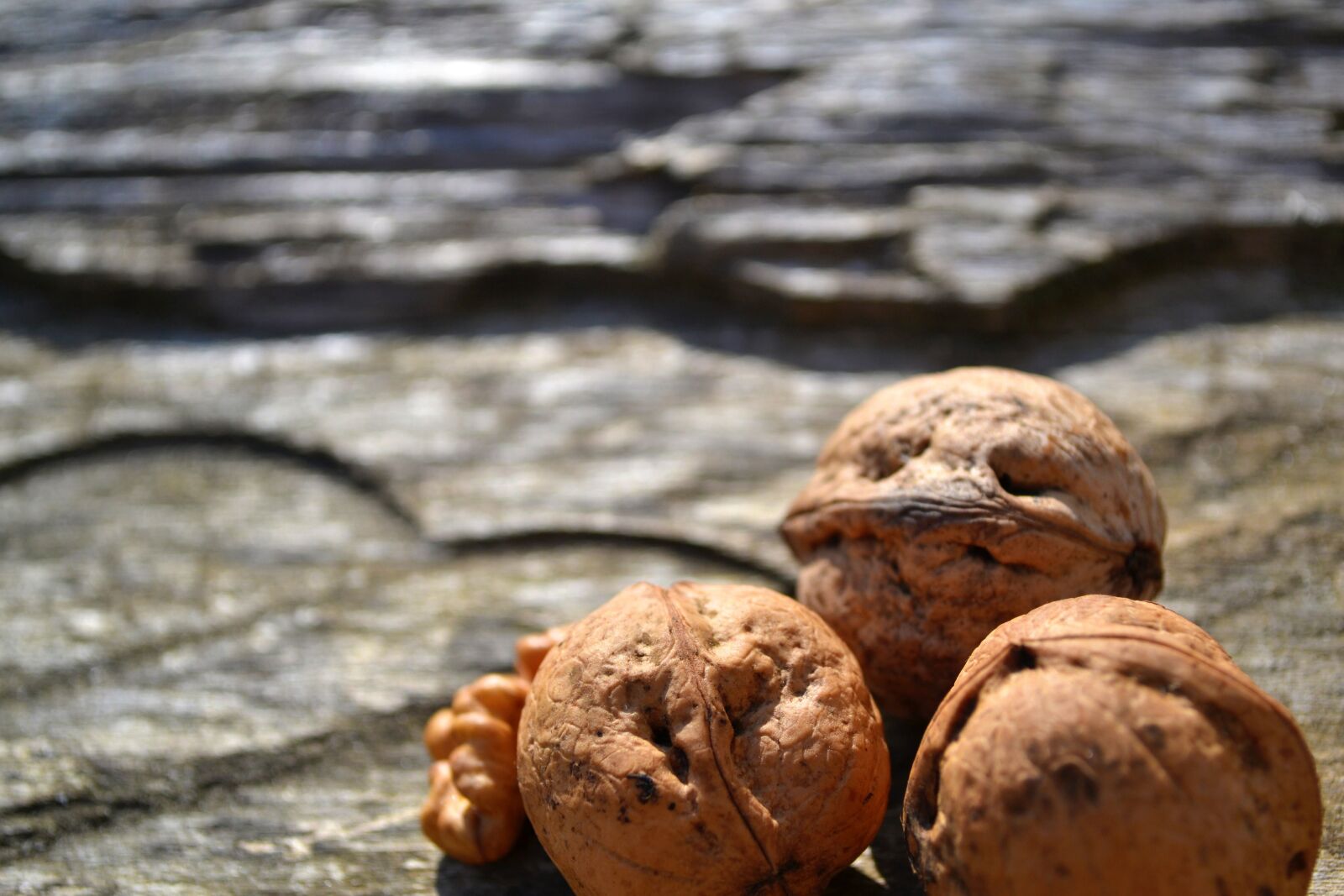 Nikon D3100 sample photo. Food, nuts, wood photography