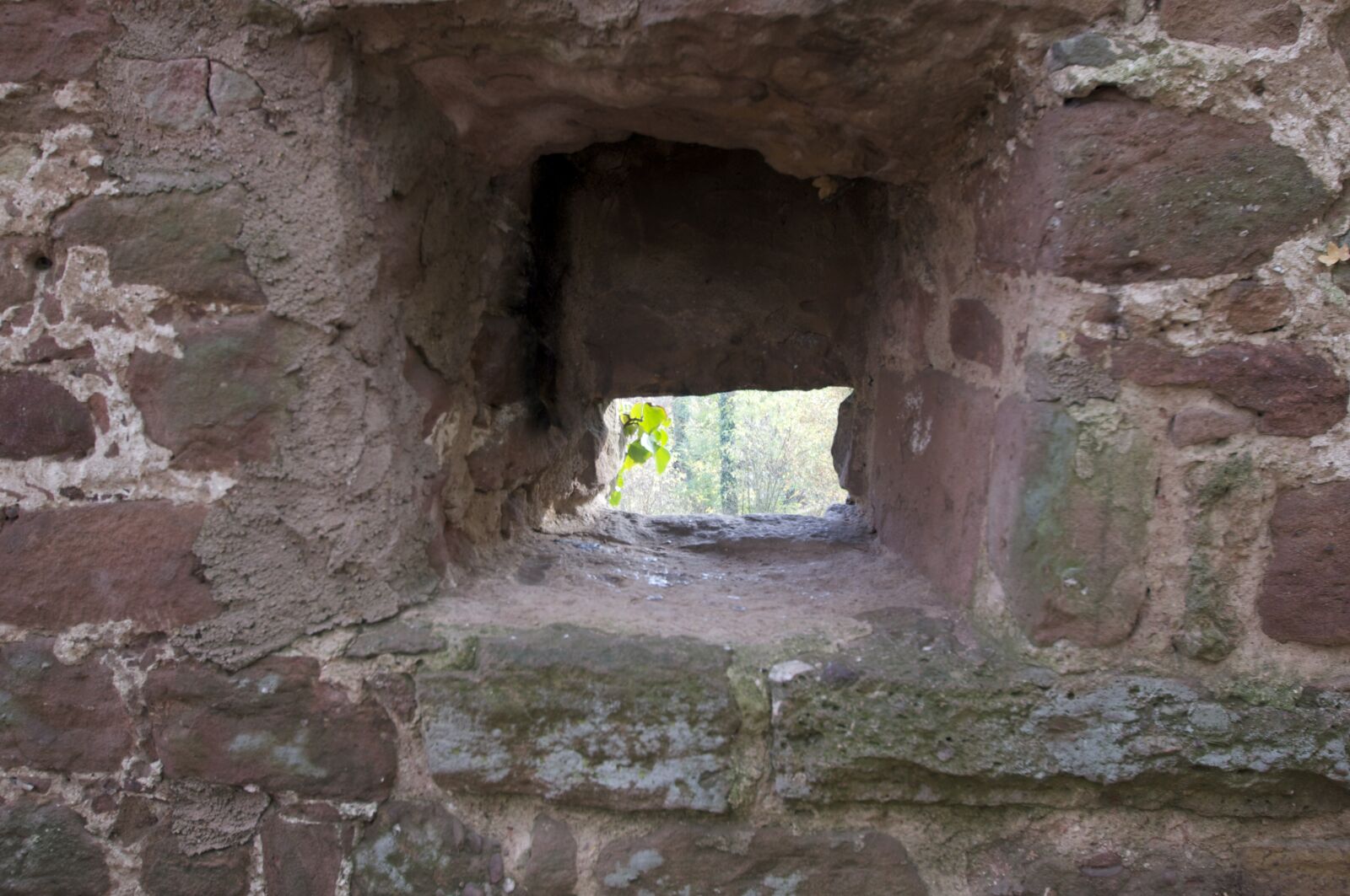 Sony Alpha DSLR-A580 sample photo. Embrasure, wall, castle wall photography